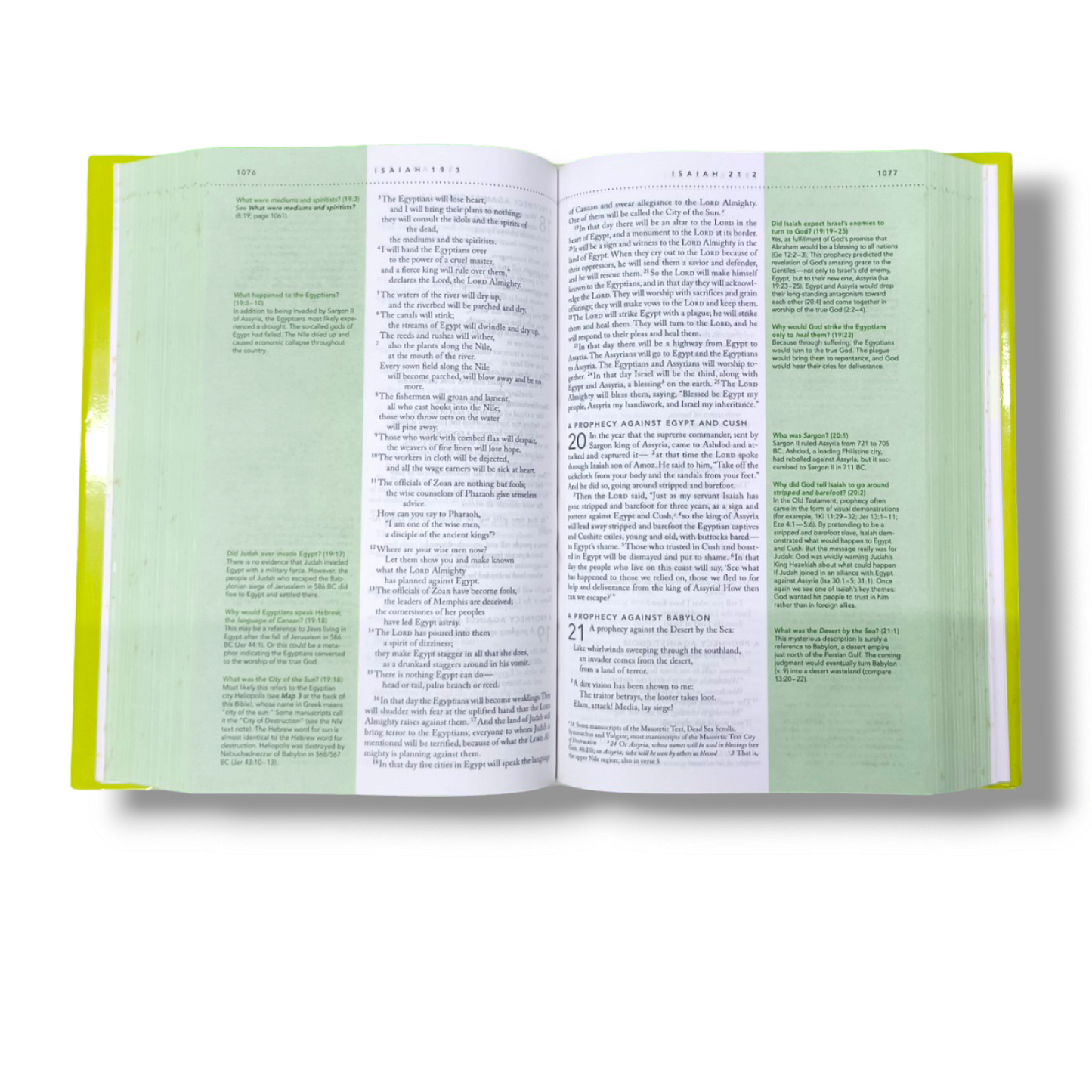 NIV Quest Bible | For Teens : The Question and Answer Bible | Study Bible | Hard Bound | New Edition