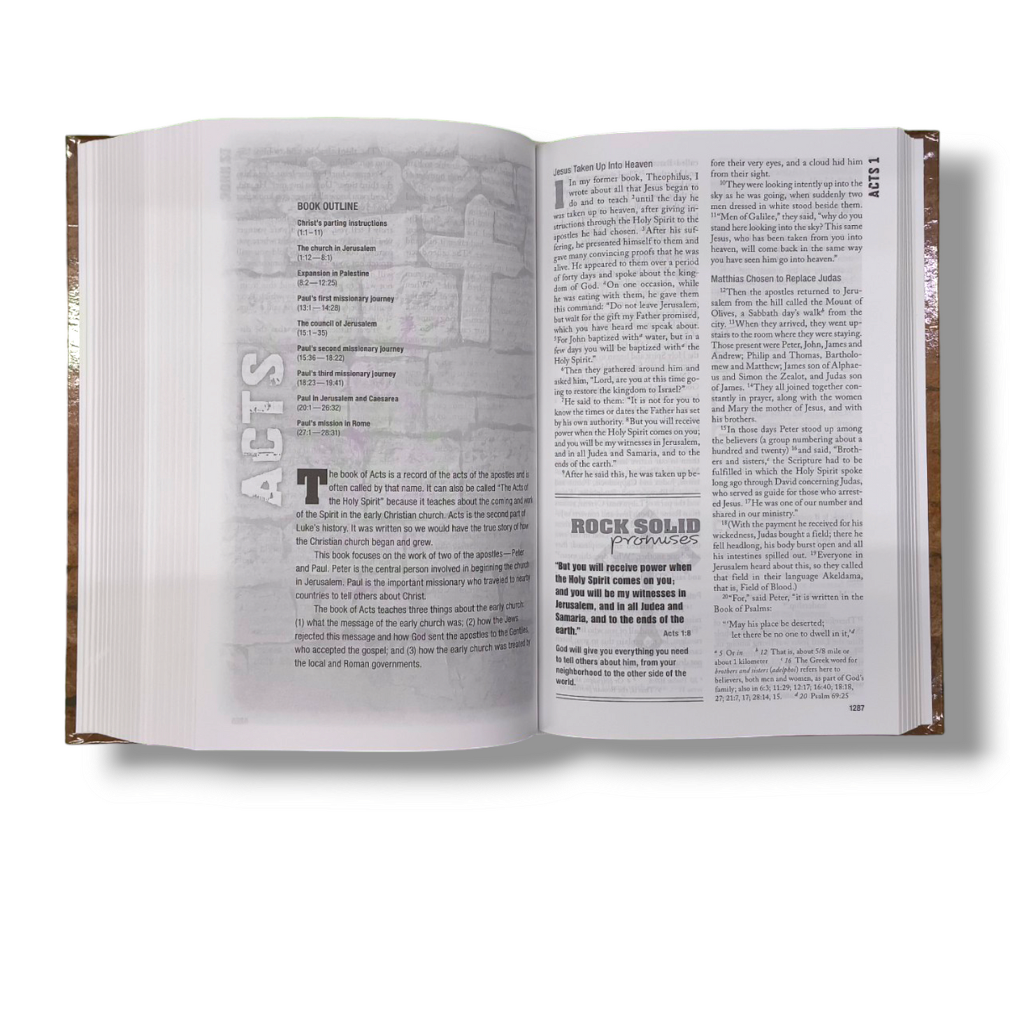 NIV Rock Solid Faith Bible | Study Bible | Hard Bound Edition | New Edition