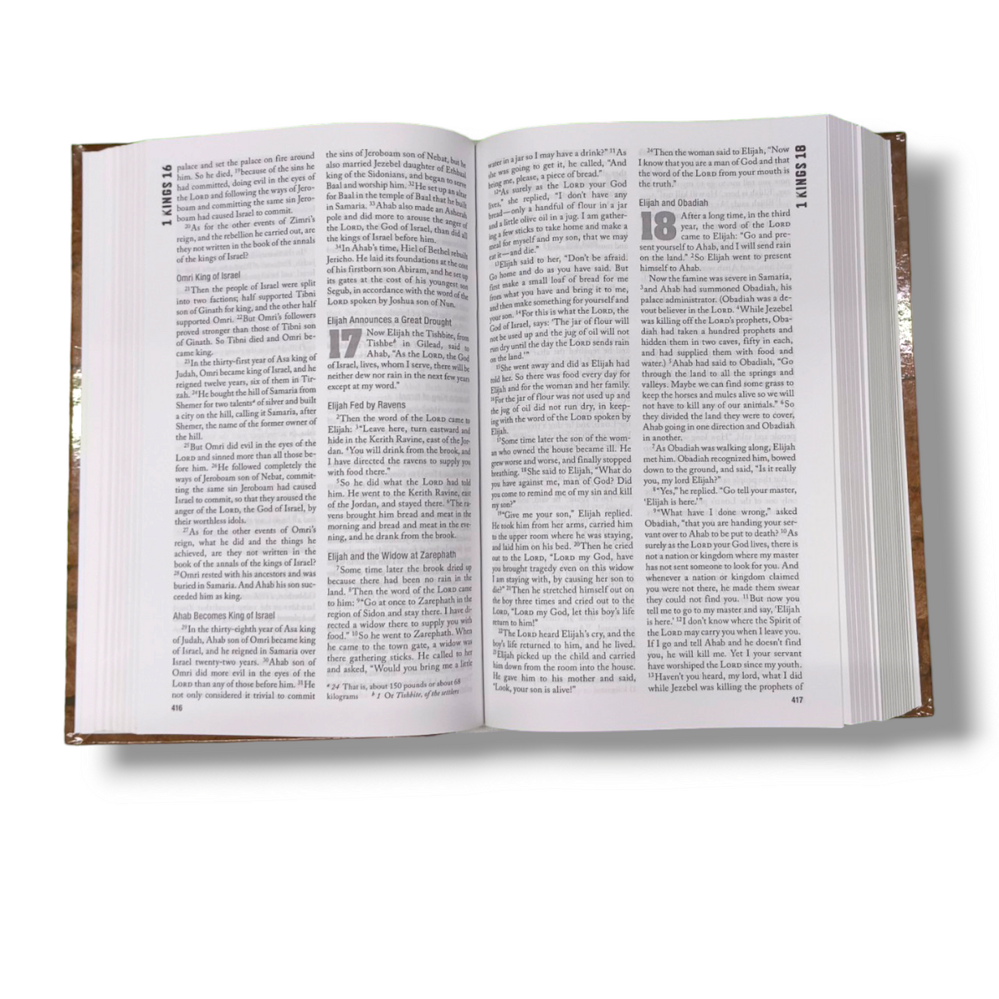 NIV Rock Solid Faith Bible | Study Bible | Hard Bound Edition | New Edition