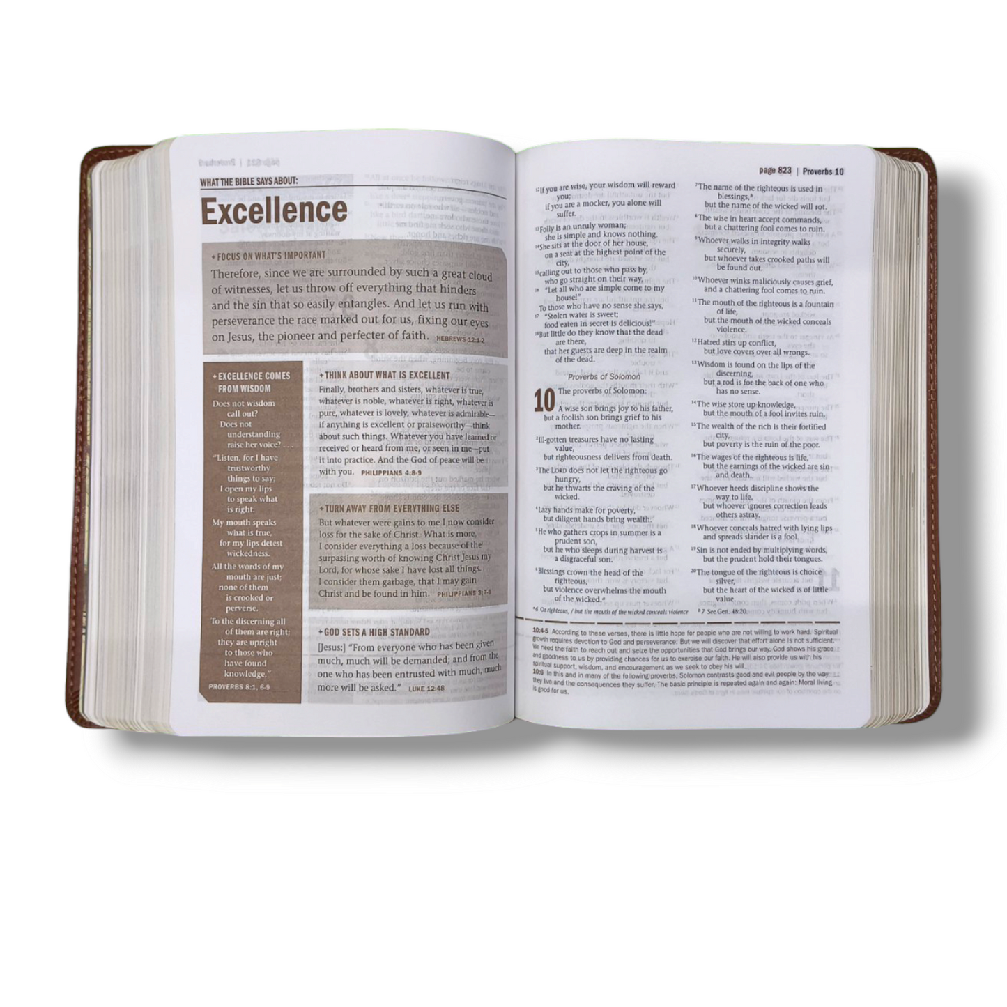 NKJV Family Life Marriage Bible | Hardcover Edition Equipping Couples for Life | Study Bible | New Edition