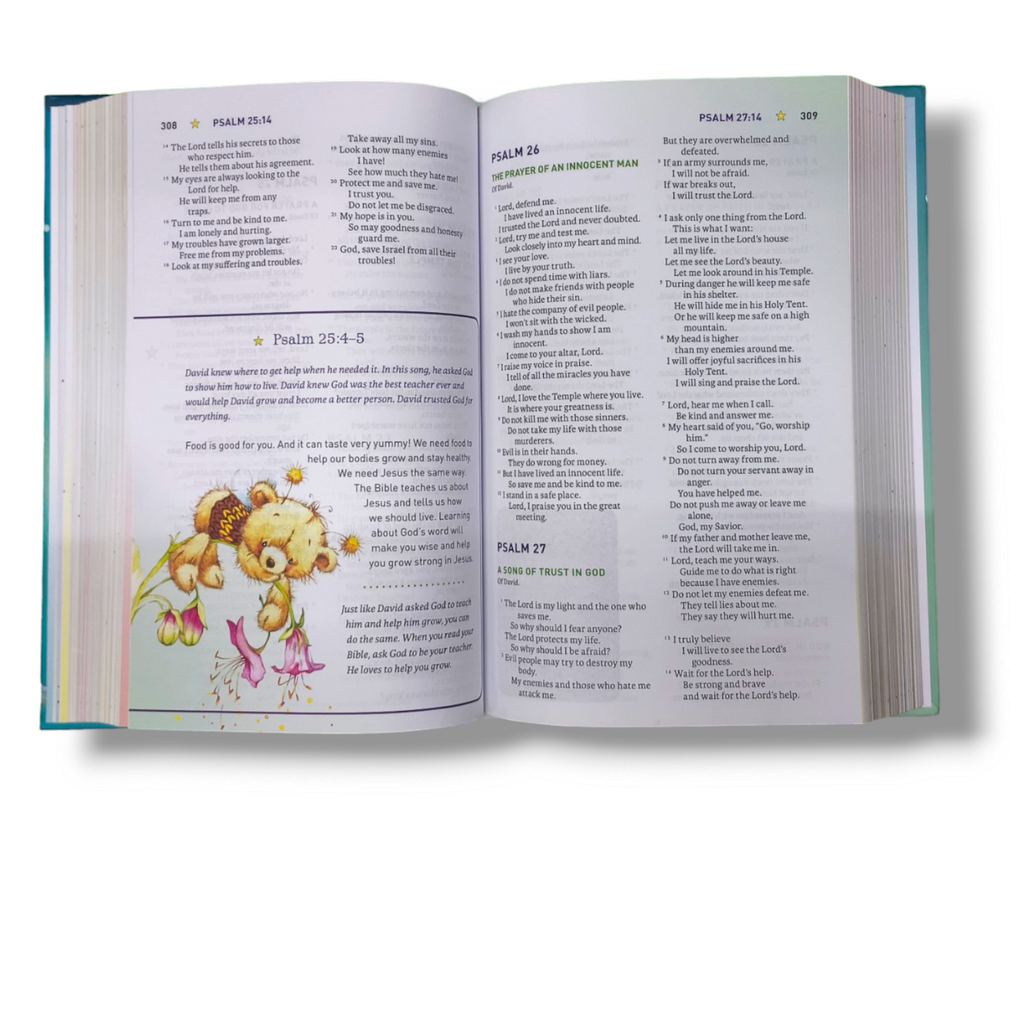 NIV Biblical Theology Bible | Study Bible | Hard Bound Edition | New Edition