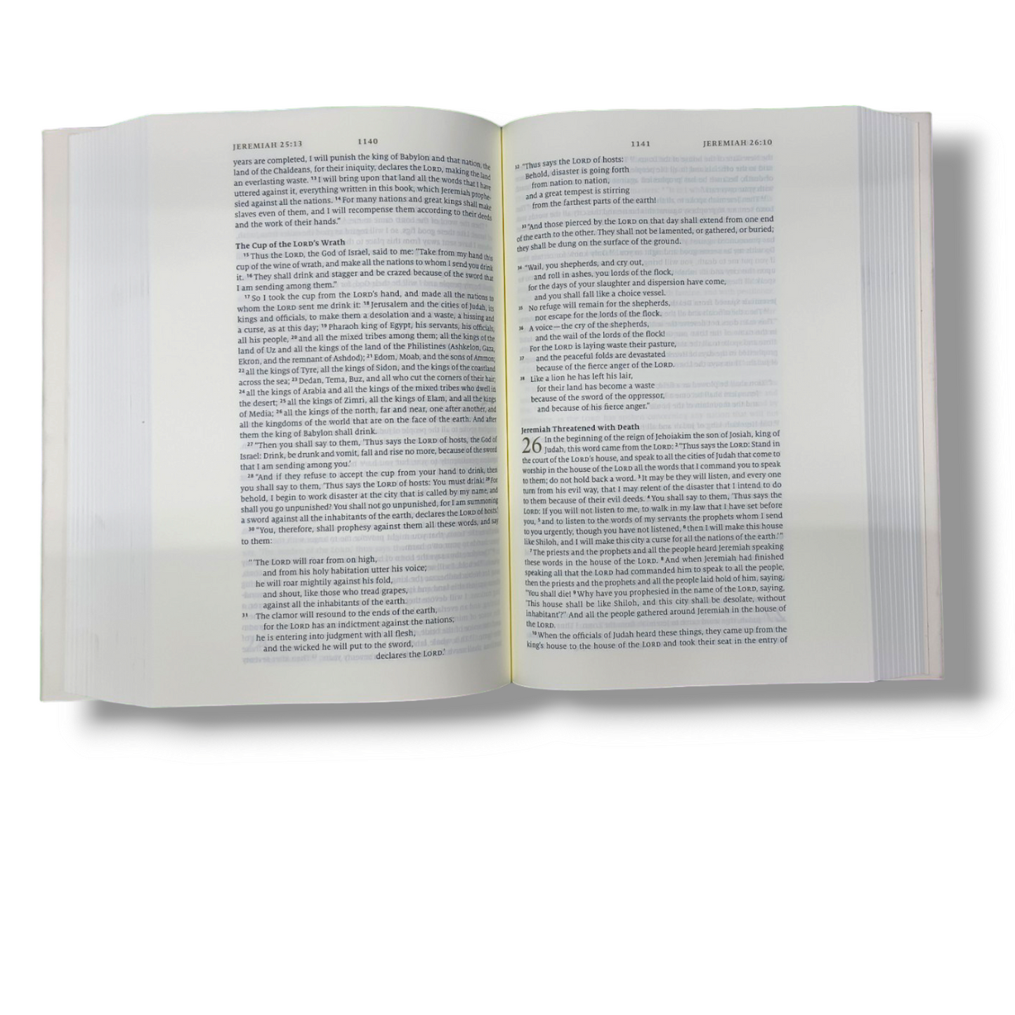 ESV Story of Redemption Bible | A Journey Through the Unfolding Promises of God | Study Bible | New Edition