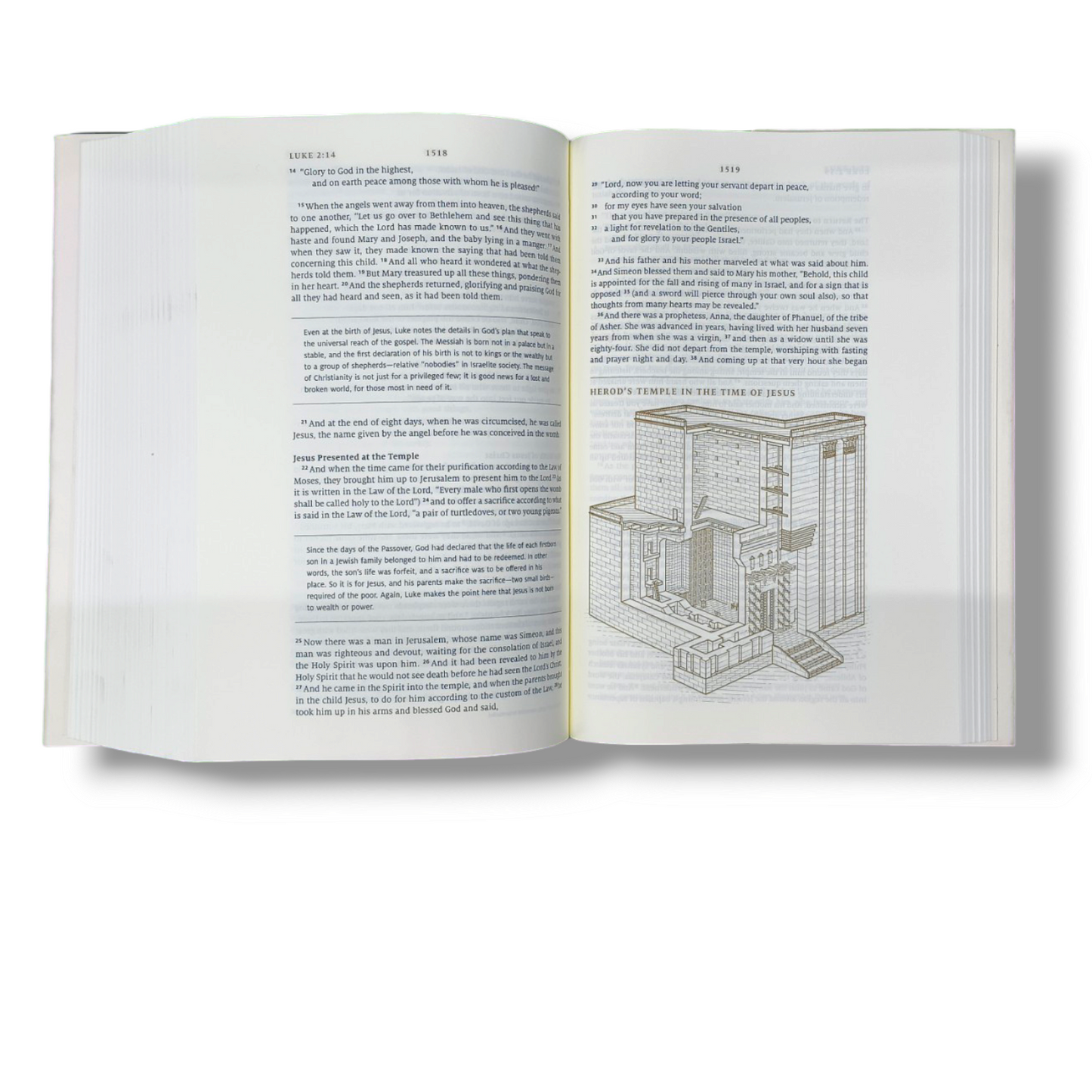 ESV Story of Redemption Bible | A Journey Through the Unfolding Promises of God | Study Bible | New Edition