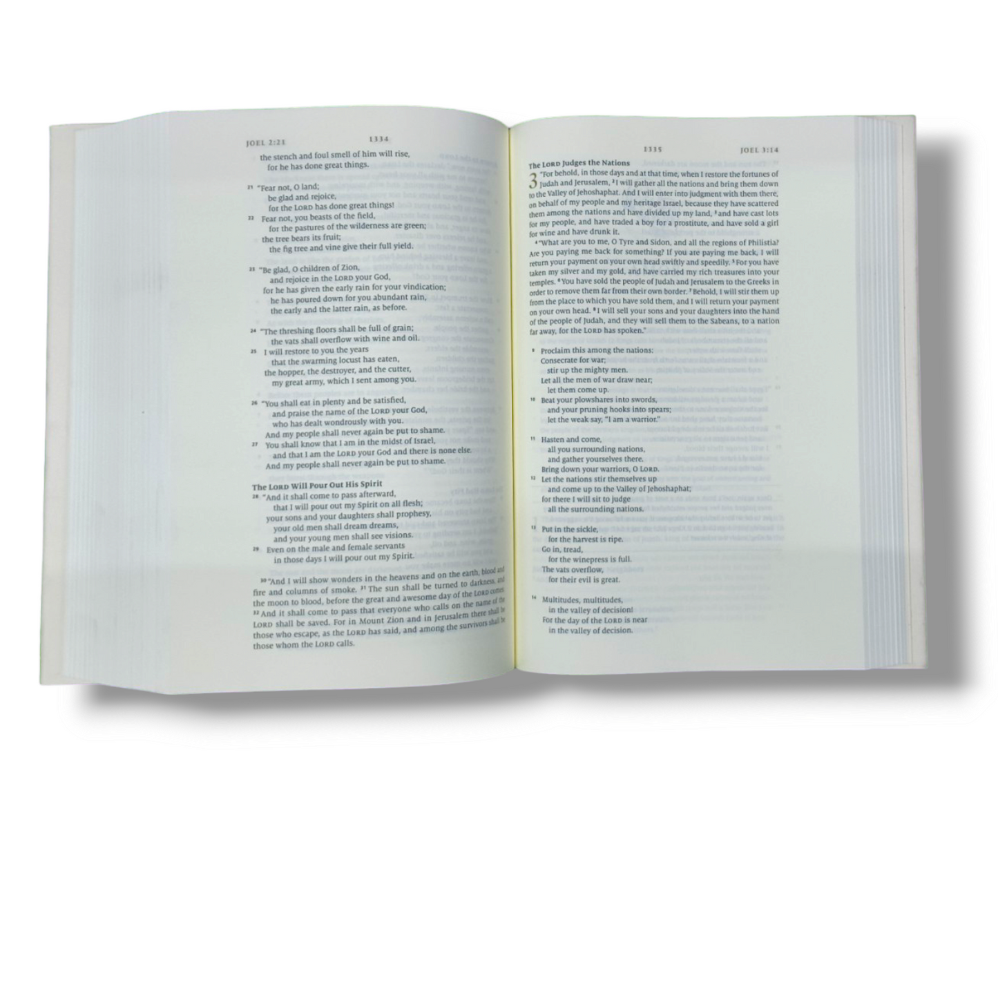ESV Story of Redemption Bible | A Journey Through the Unfolding Promises of God | Study Bible | New Edition