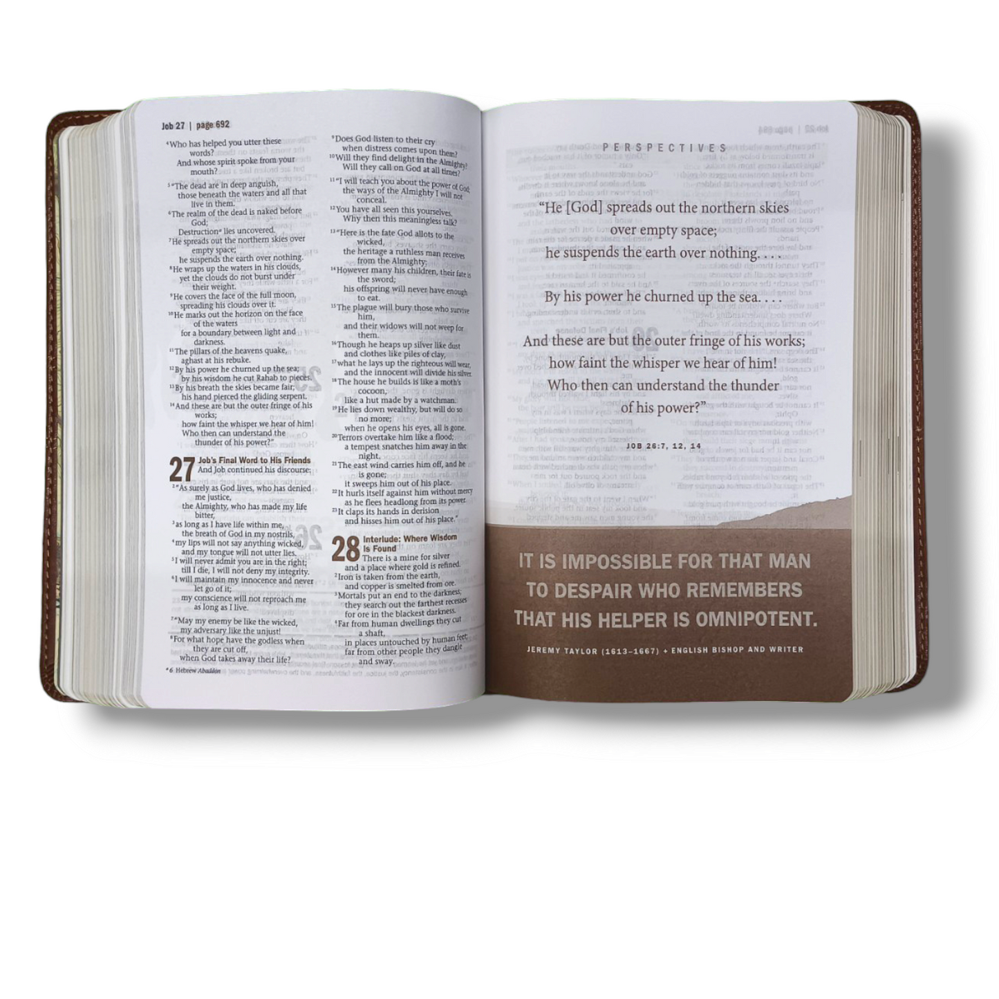 NIV Every Man's Bible | Deluxe Journeyman Edition Leather Brown | Study Bible | New Edition