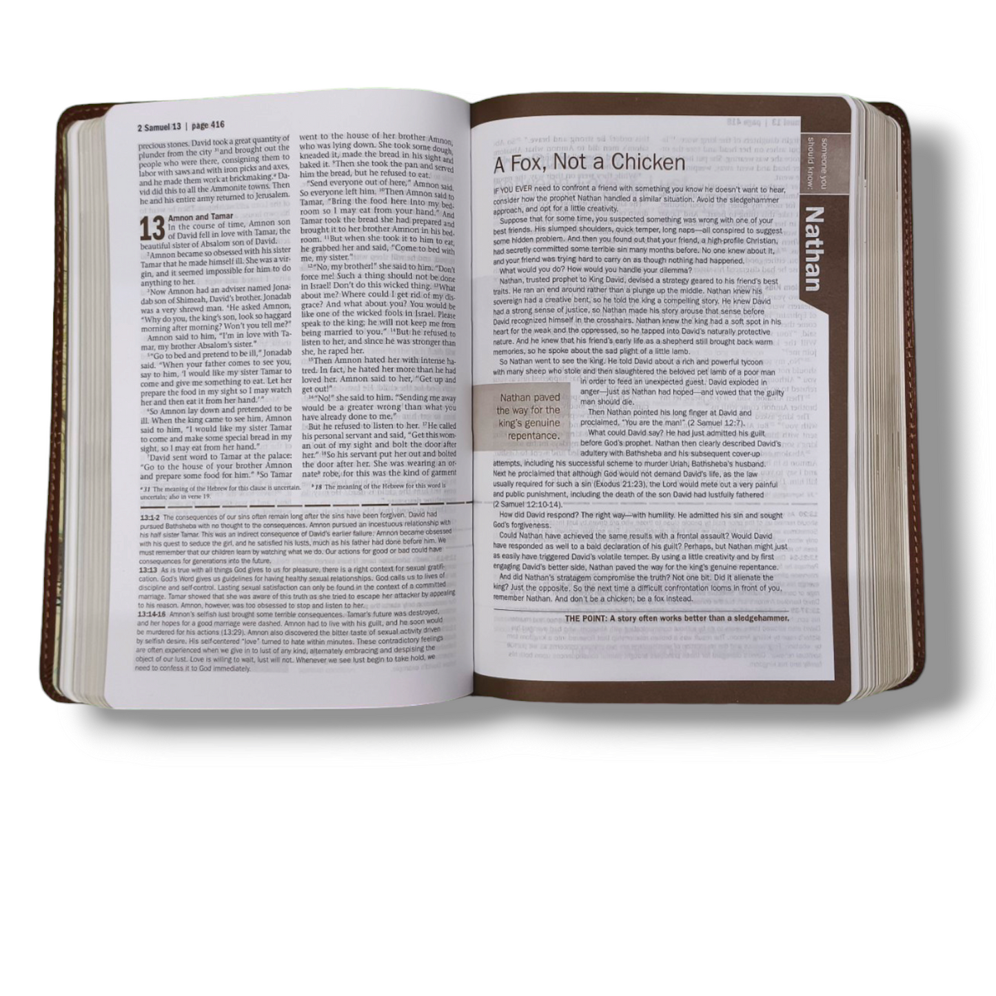 NIV Every Man's Bible | Deluxe Journeyman Edition Leather Brown | Study Bible | New Edition