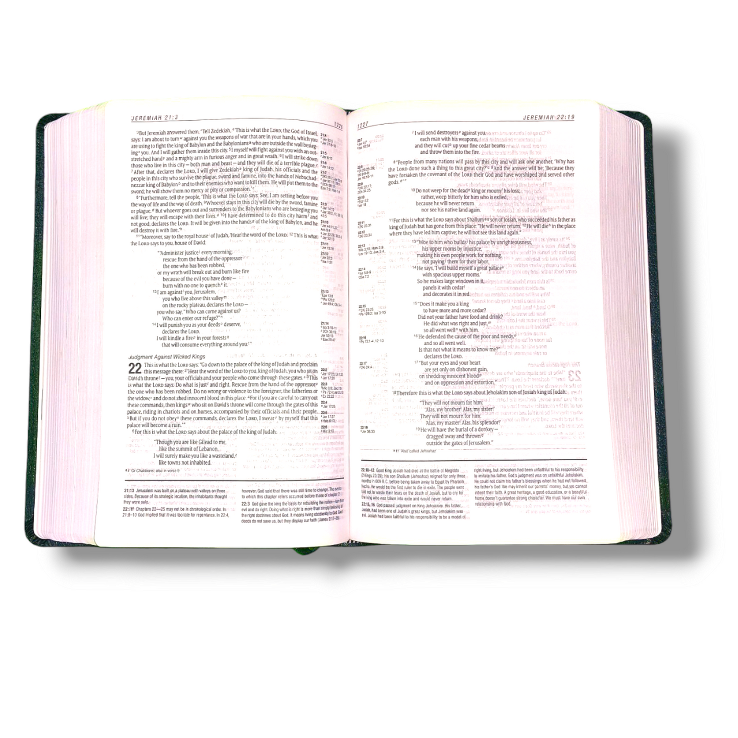 NIV Personal Size Life Application Study Bible | Leather Attractive Black Edition | Study Bible | New Edition