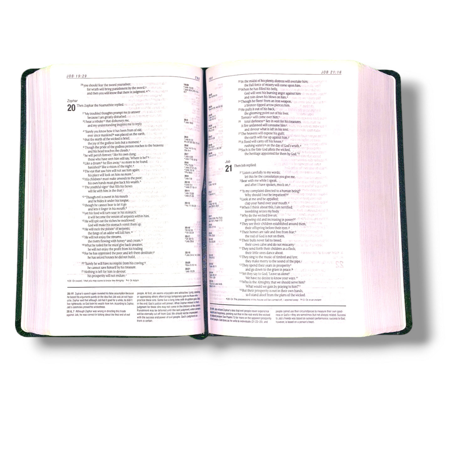 NIV Personal Size Life Application Study Bible | Leather Attractive Black Edition | Study Bible | New Edition