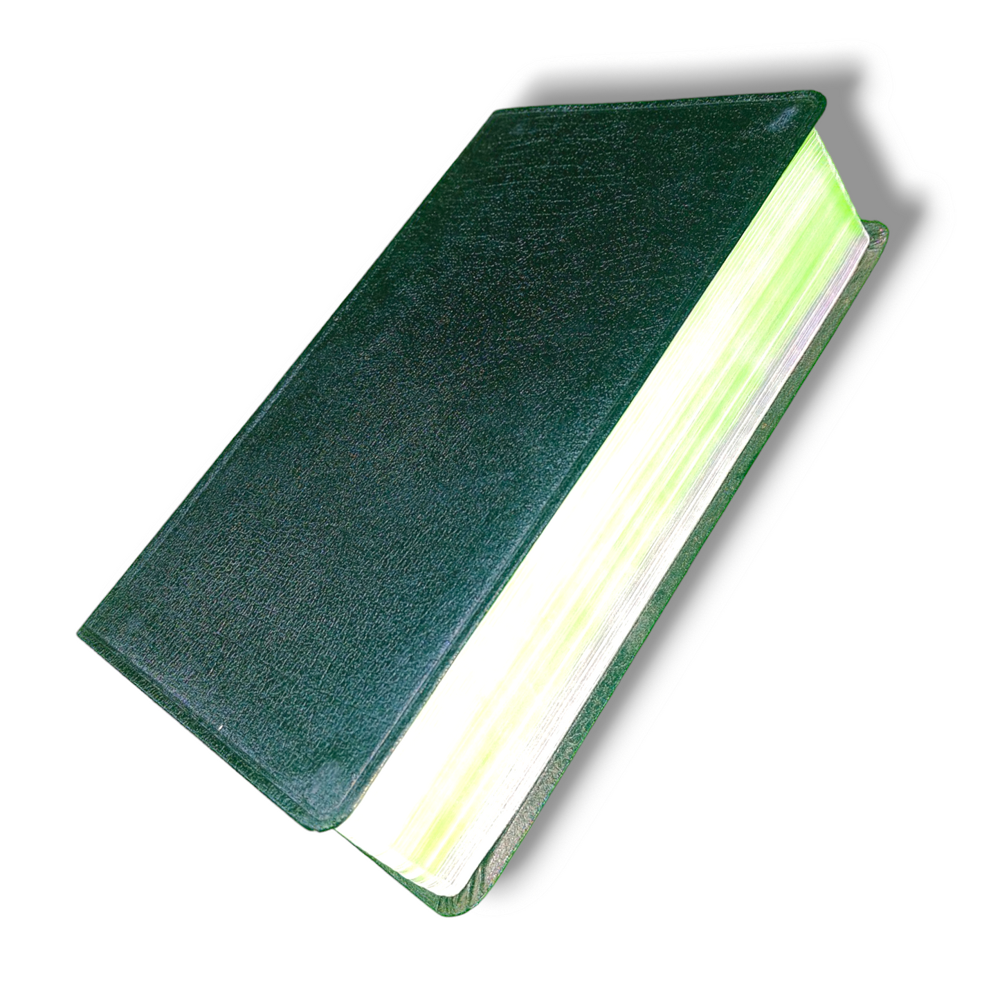 NIV Personal Size Life Application Study Bible | Leather Attractive Black Edition | Study Bible | New Edition