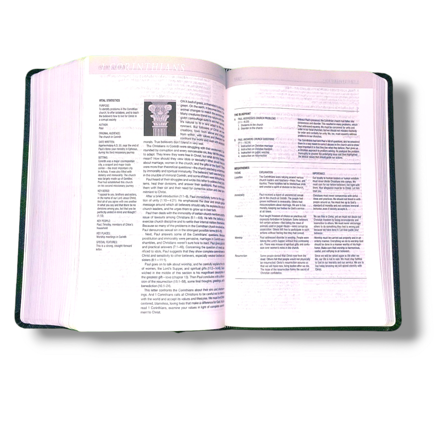 NIV Personal Size Life Application Study Bible | Leather Attractive Black Edition | Study Bible | New Edition