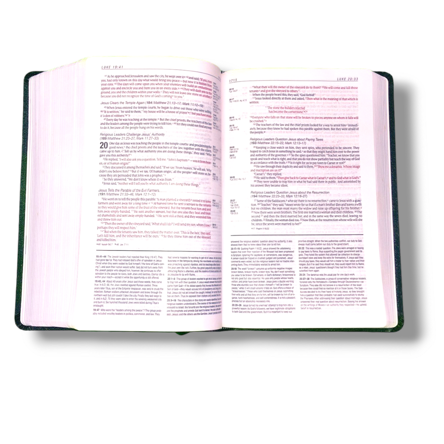 NIV Personal Size Life Application Study Bible | Leather Attractive Black Edition | Study Bible | New Edition