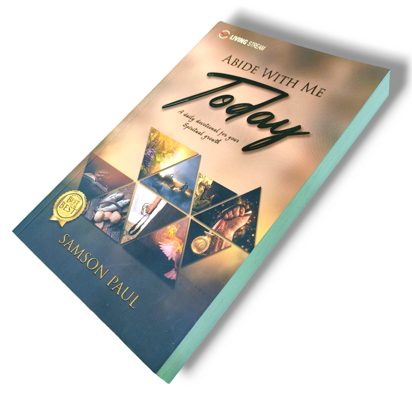 Abide With Me ( Today ) | Samson Paul Book | Gospel Book | Paper Bound | New Edition