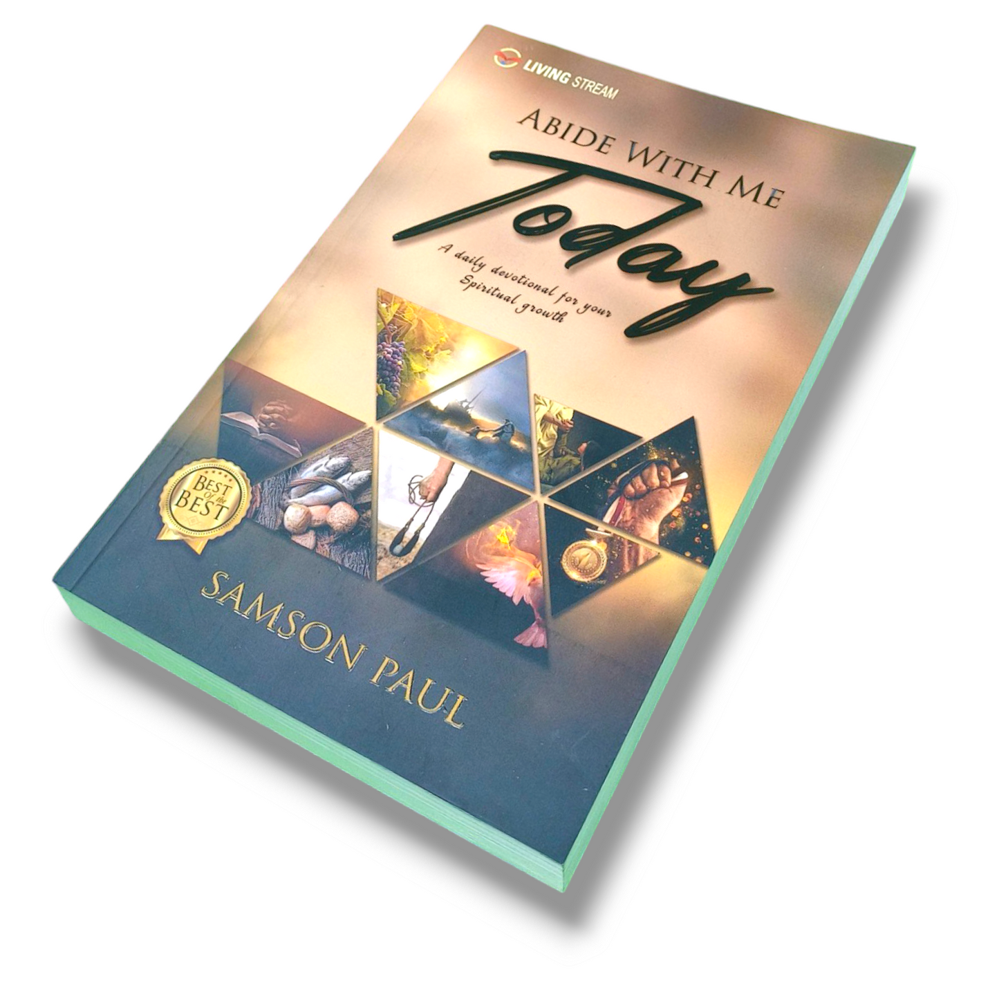 Abide With Me ( Today ) | Samson Paul Book | Gospel Book | Paper Bound | New Edition