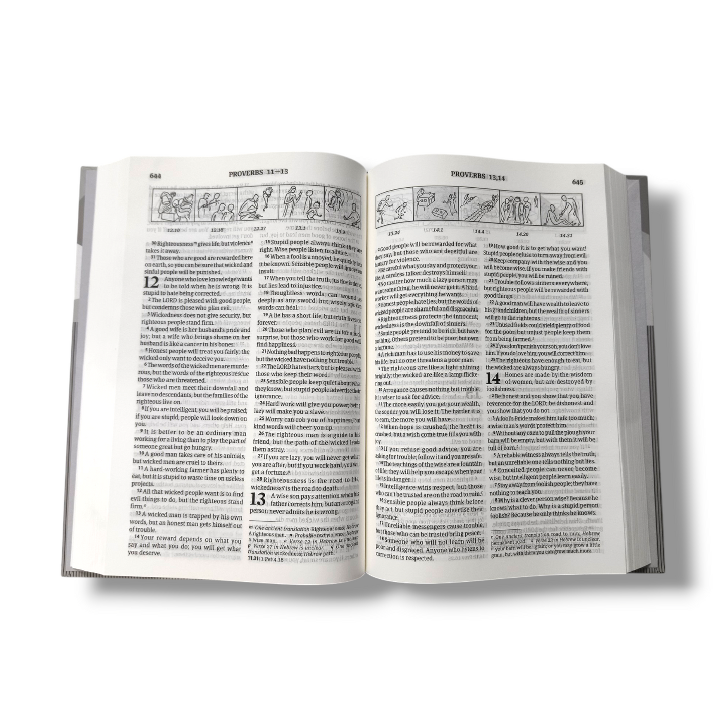 Good News Bible | Hard Bound Edition | Medium Size | In Multiple Color | | Picture's Bible | New Edition