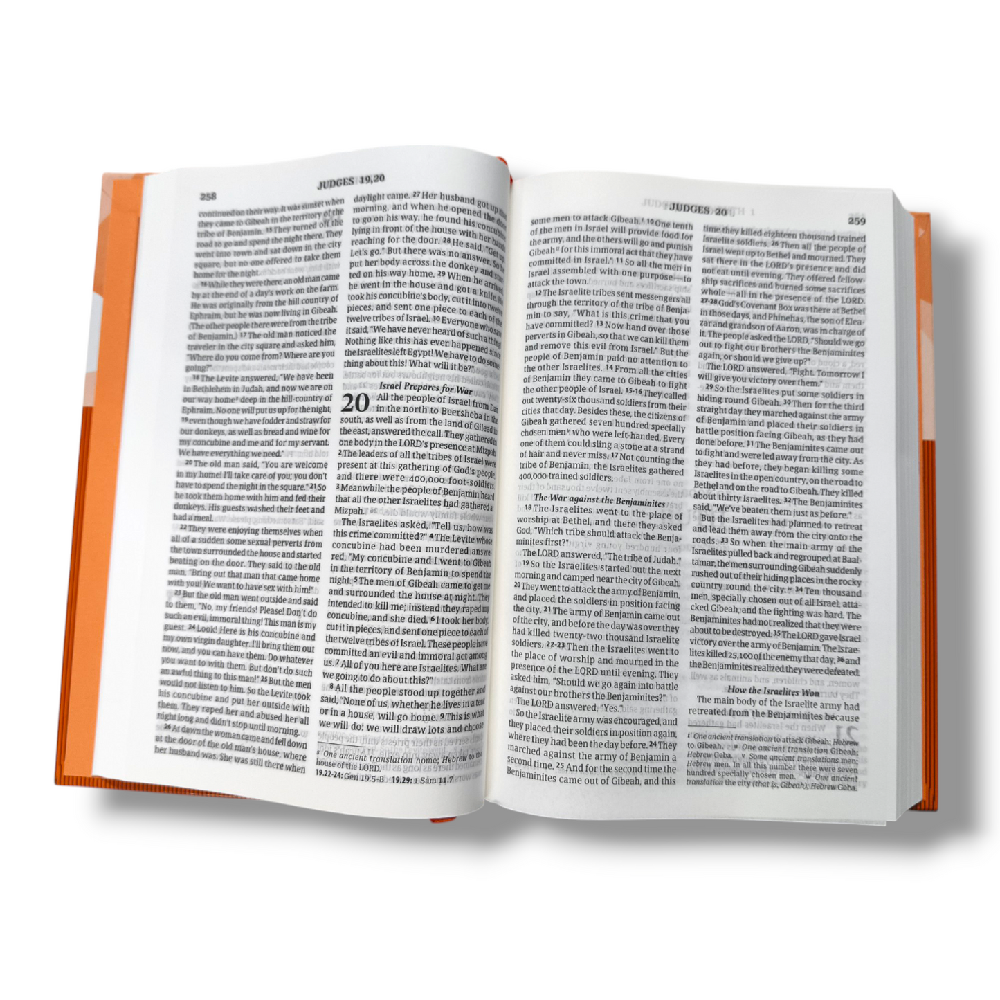 Good News Bible | Hard Bound Edition | Medium Size | In Multiple Color | | Picture's Bible | New Edition