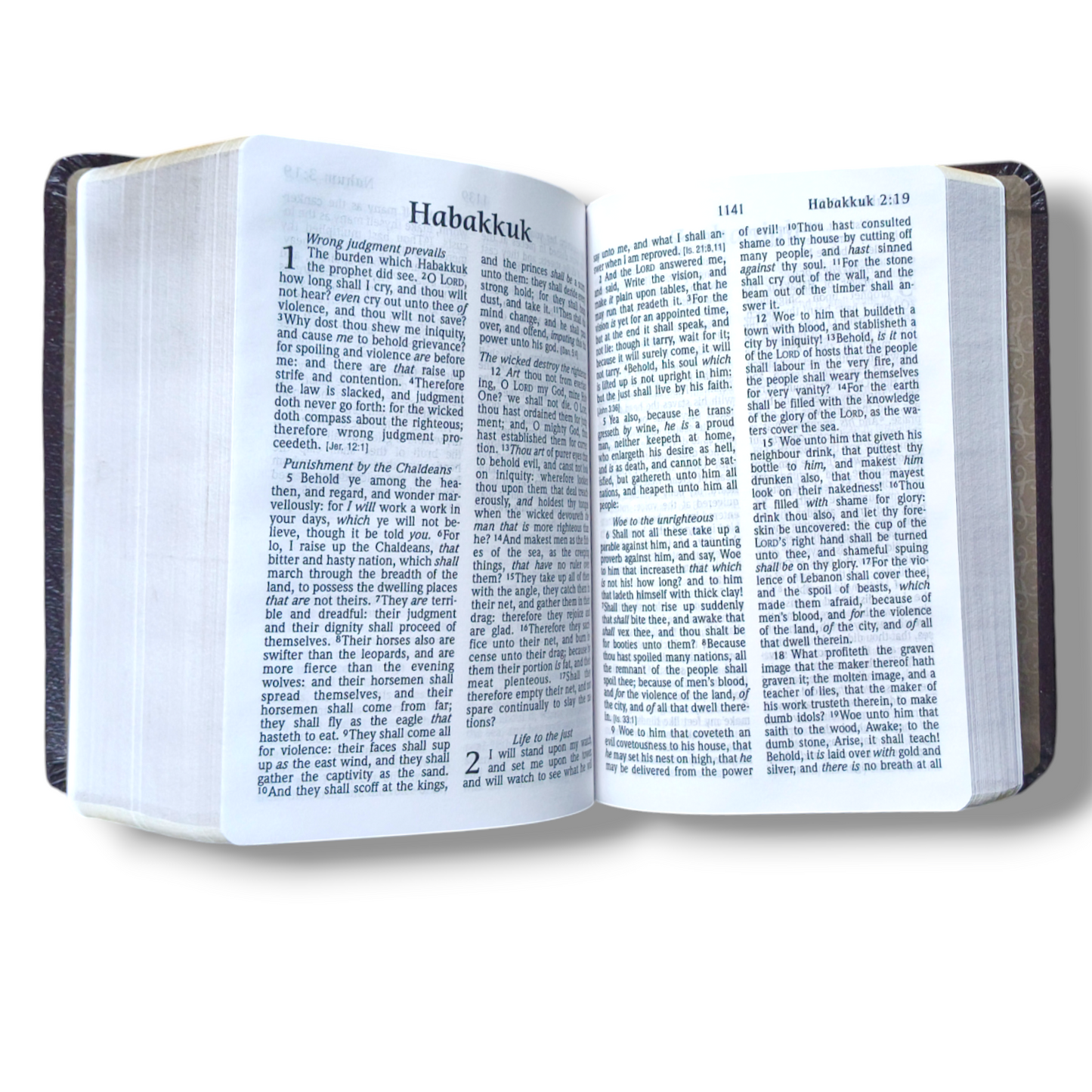 NET Bible Large Print | Thinline Reference Edition | British Tan Leather soft Bounded | Concordance | Full - Color Map's | New Edition