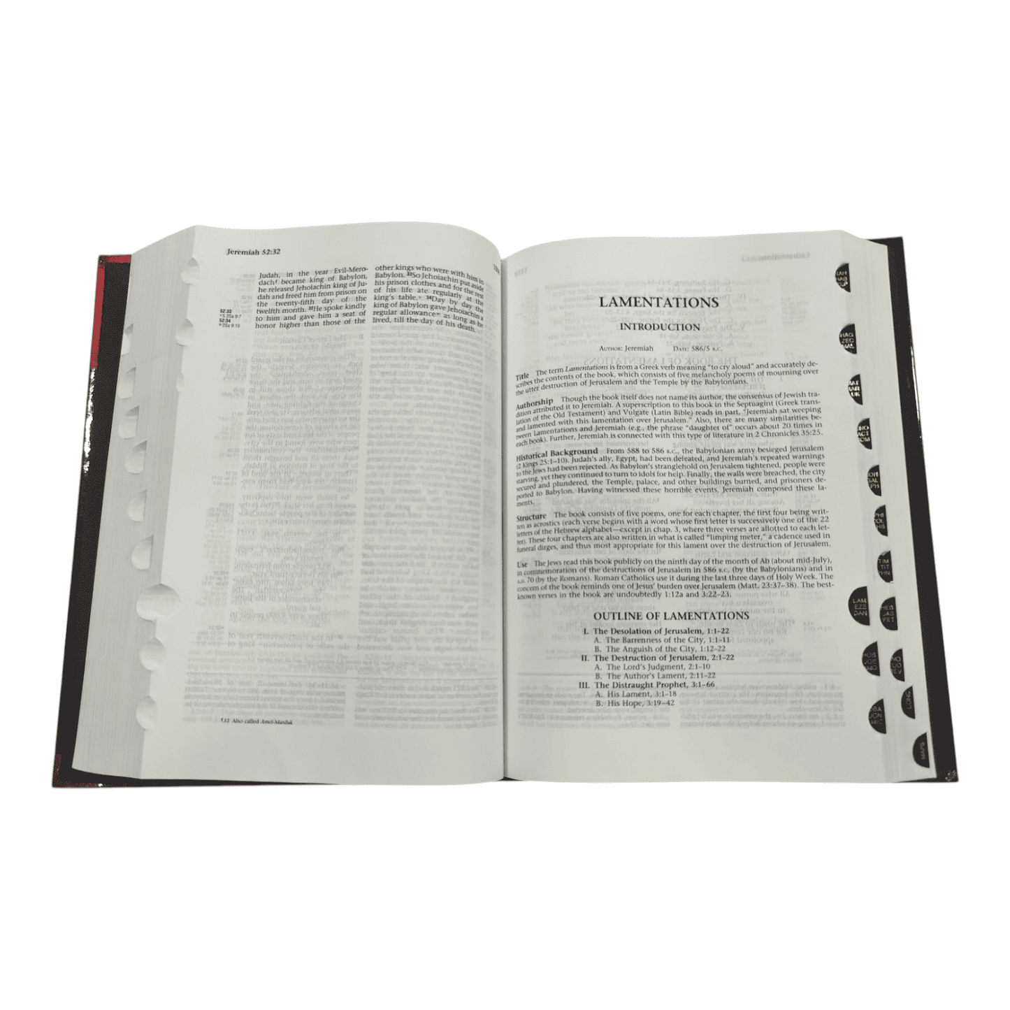 NIV Ryrie Study Bible, Hardcover, Revised - Charles Caldwell Ryrie's Classic Study System - 9780802489333