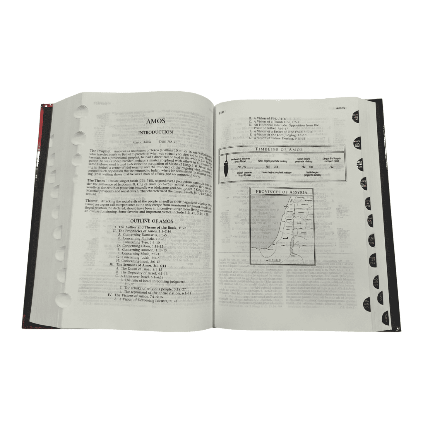 NIV Ryrie Study Bible, Hardcover, Revised - Charles Caldwell Ryrie's Classic Study System - 9780802489333