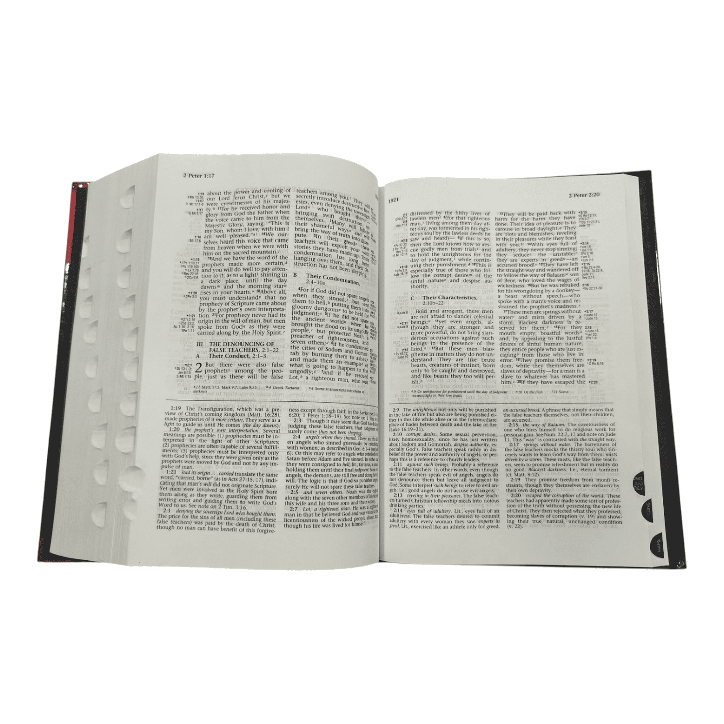 NIV Ryrie Study Bible, Hardcover, Revised - Charles Caldwell Ryrie's Classic Study System - 9780802489333