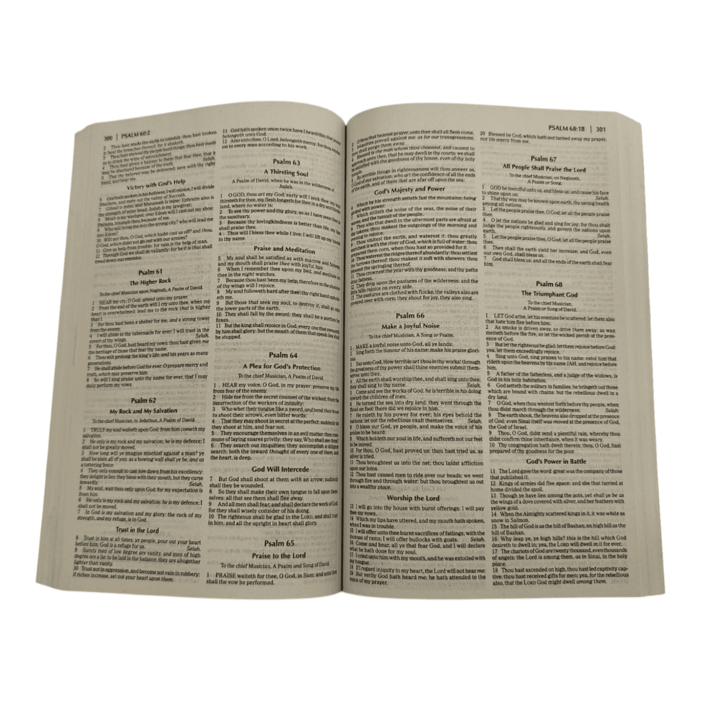 KJV Holy Bible, Giant Print Standard Size, Cloth over Board, Black, Red Letter Edition - 9780718091736