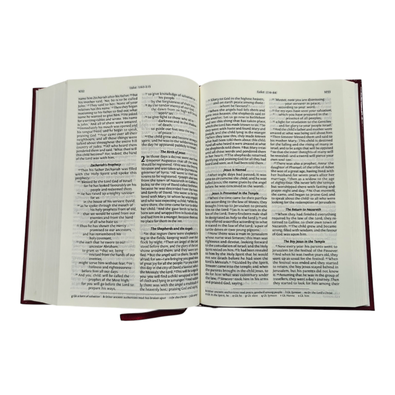 NRSV Bible with Concordance, New Revised Standard Version (Old & New Testament)
