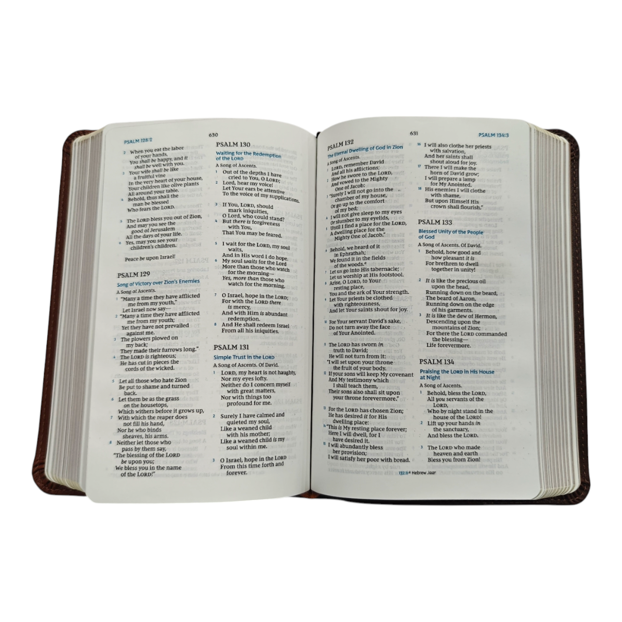 NKJV Compact Bible, Maclaren Series, Leathersoft, Comfort Print (Hand-Sized Travel Bible)