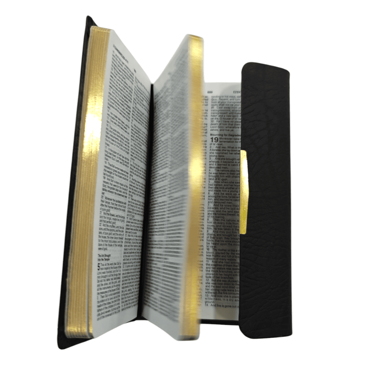 KJV Checkbook Bible, Black Leatherflex, King James Version - Compact Gospel Edition for Evangelism -