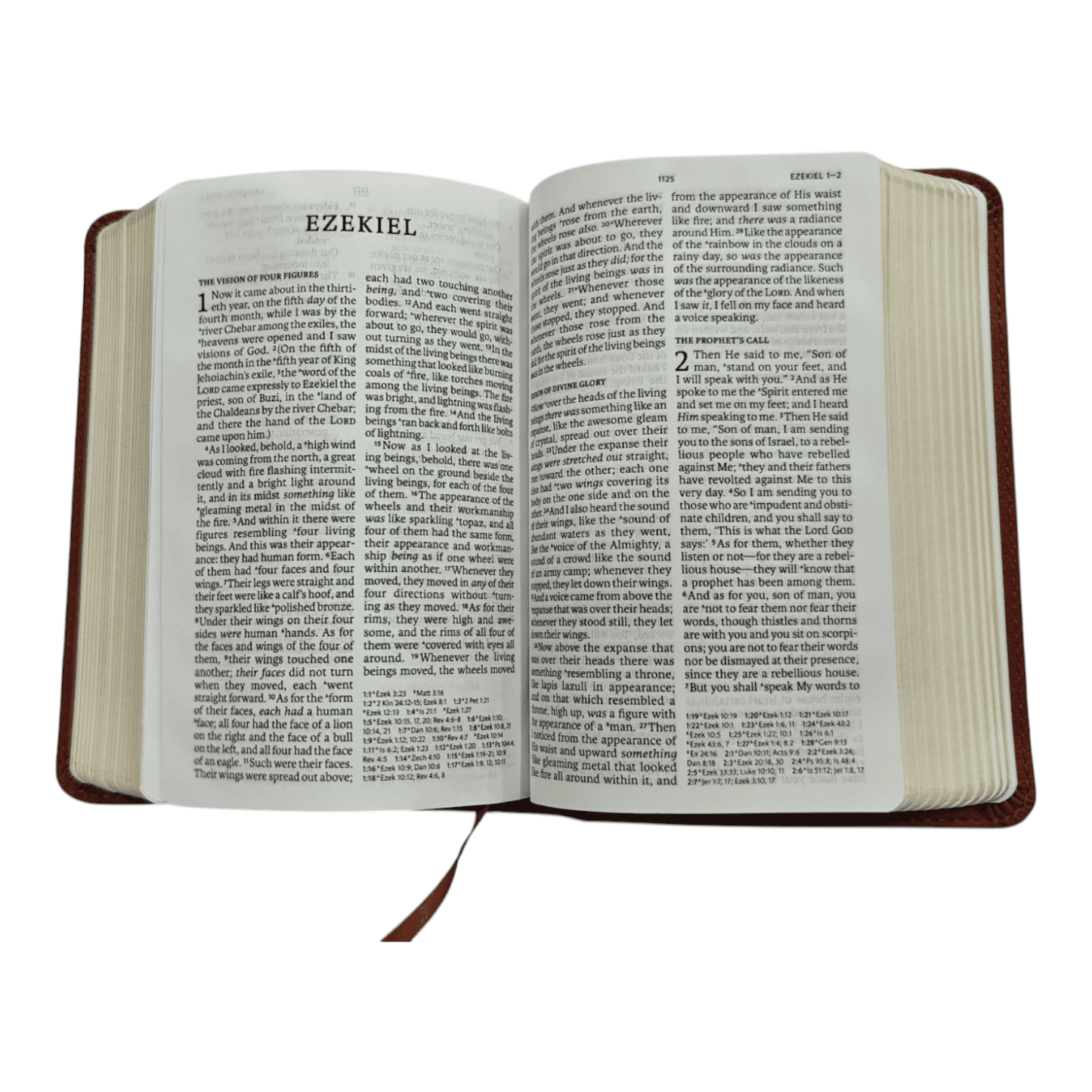 NASB Large Print Compact Reference Bible, Leathersoft, Black - Easy-to-Read Font in a Portable Size - 9781087765709