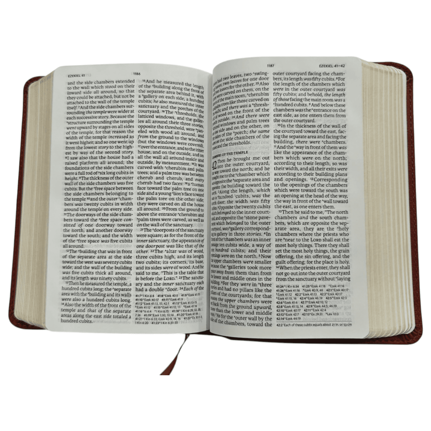 NASB Large Print Compact Reference Bible, Leathersoft, Black - Easy-to-Read Font in a Portable Size - 9781087765709