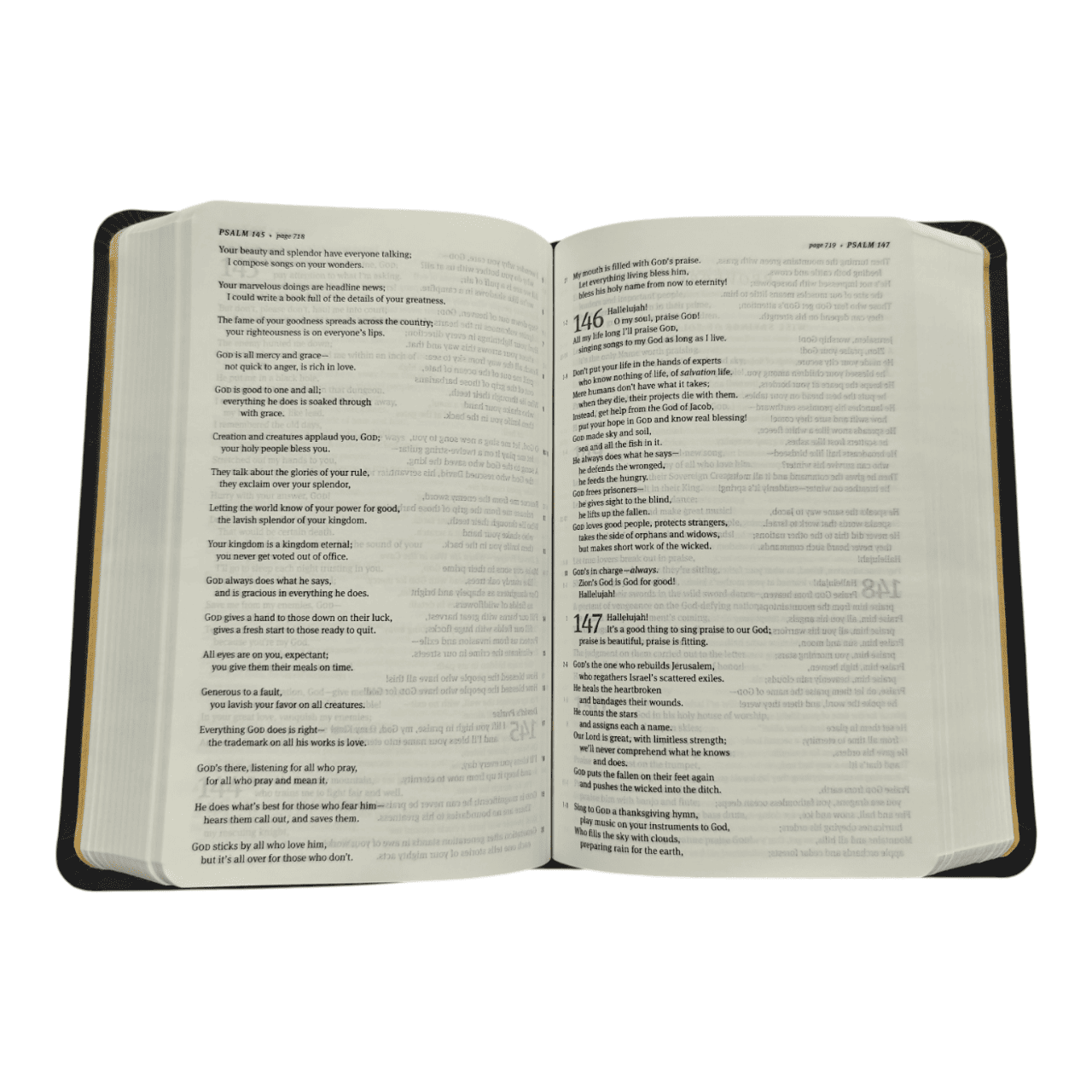 The Message Compact Bible, Flexible Cover: Portable Edition of The Contemporary Message Paraphrase - Eugene Peterson - 9781641583244