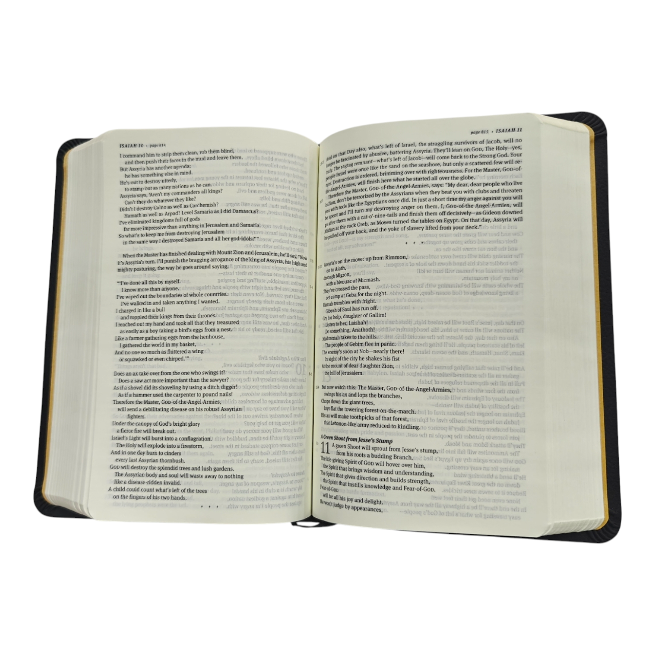 The Message Compact Size Bible, Contemporary Paraphrase by Eugene Peterson (Leather-Look, Ribbon Marker)