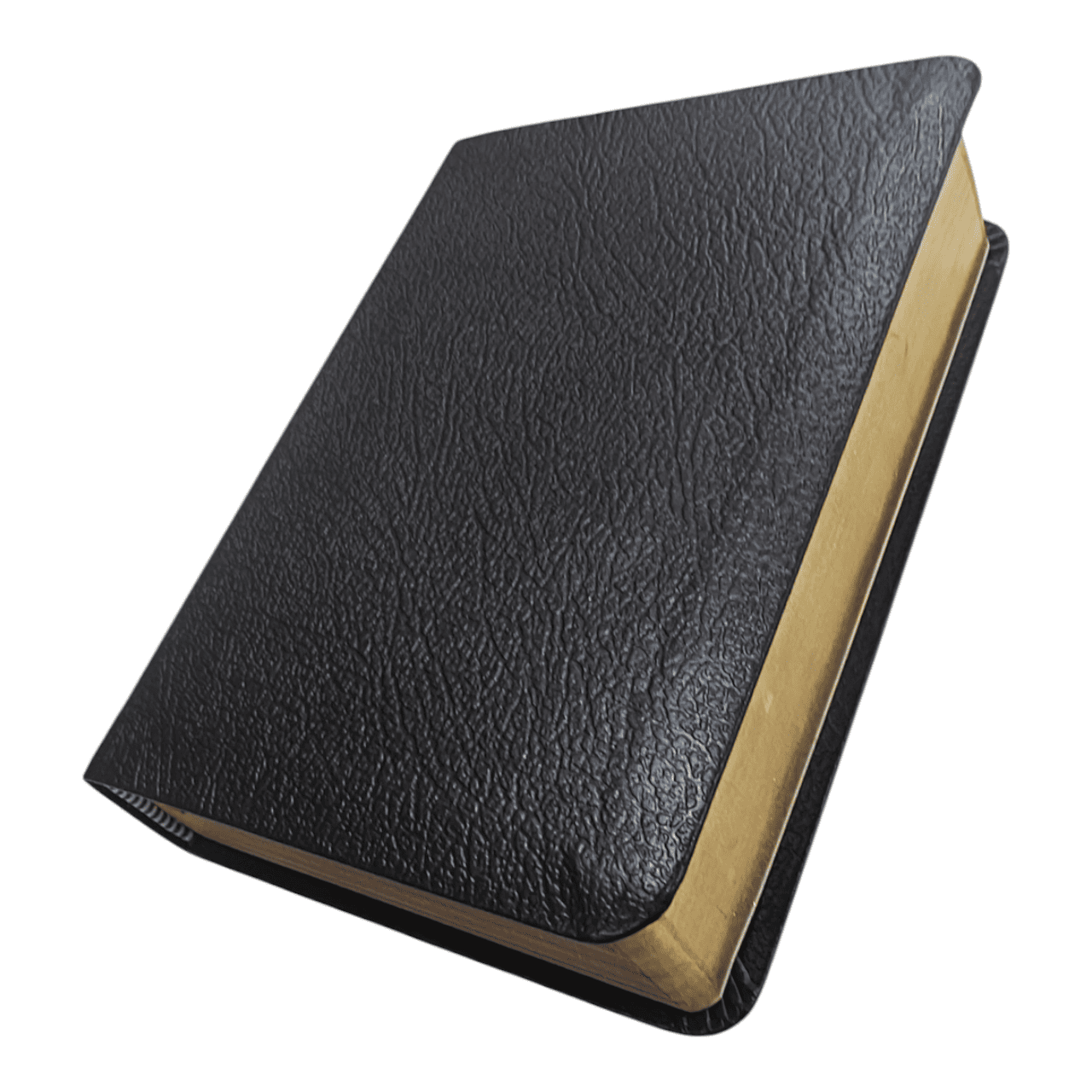 KJV Large Print Compact Reference Bible, Leathersoft, Burgundy - Easy-to-Read King James Version with Center-Column References - 9781598565591
