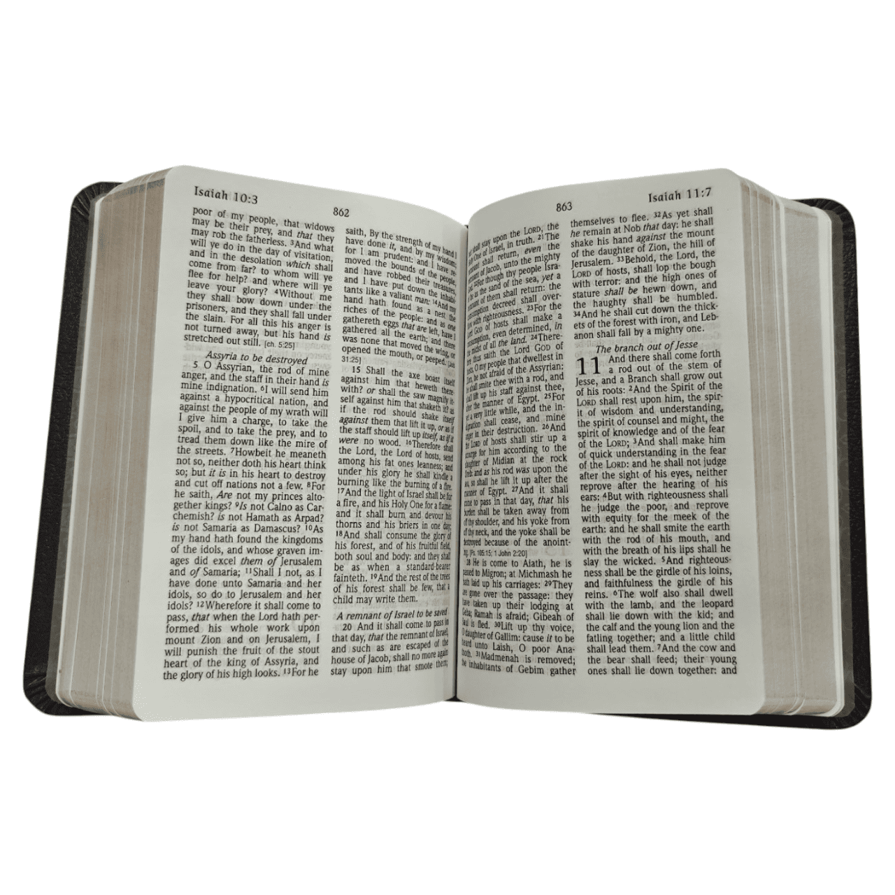 KJV Large Print Compact Reference Bible, Leathersoft, Burgundy - Easy-to-Read King James Version with Center-Column References - 9781598565591