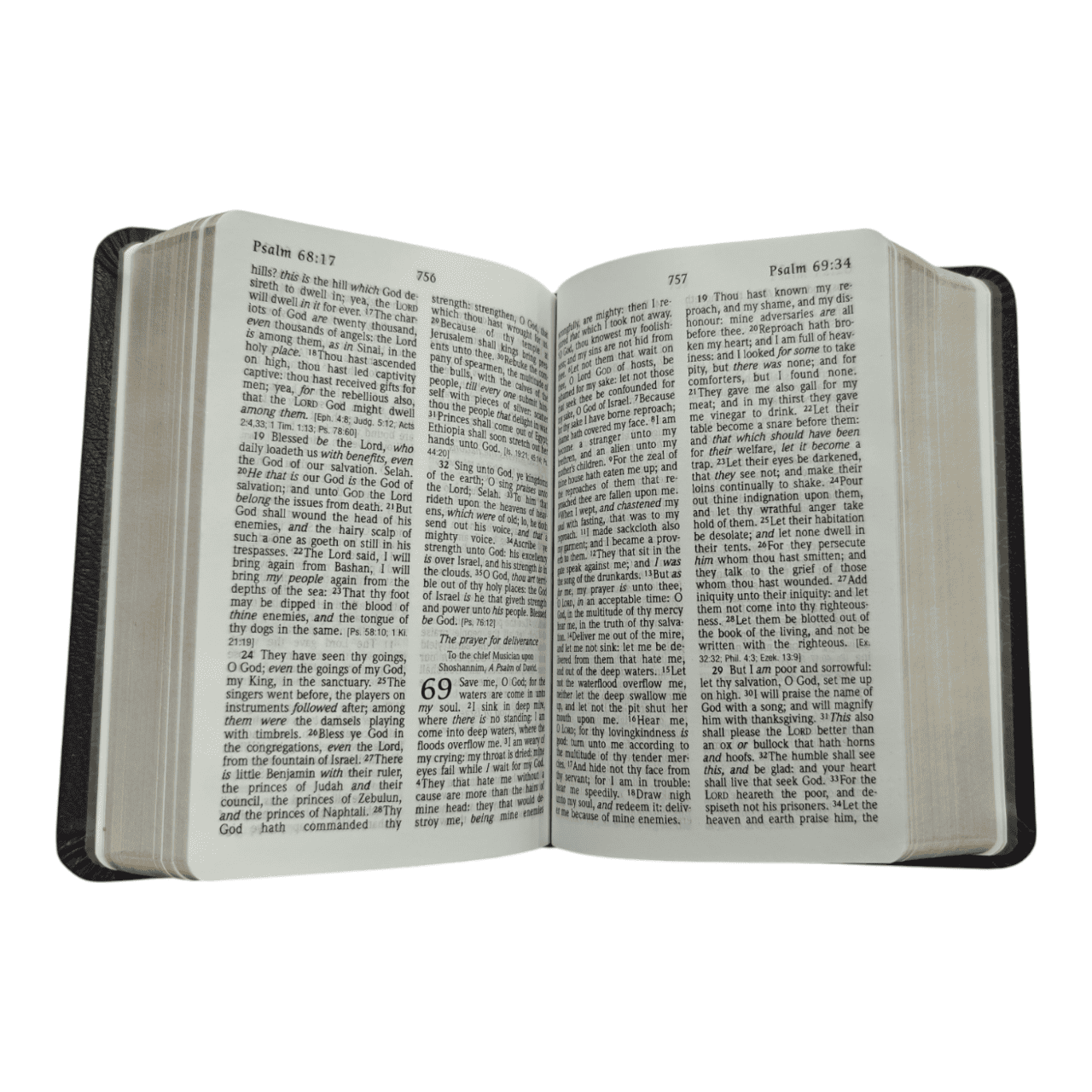 KJV Large Print Compact Reference Bible, Leathersoft, Burgundy - Easy-to-Read King James Version with Center-Column References - 9781598565591
