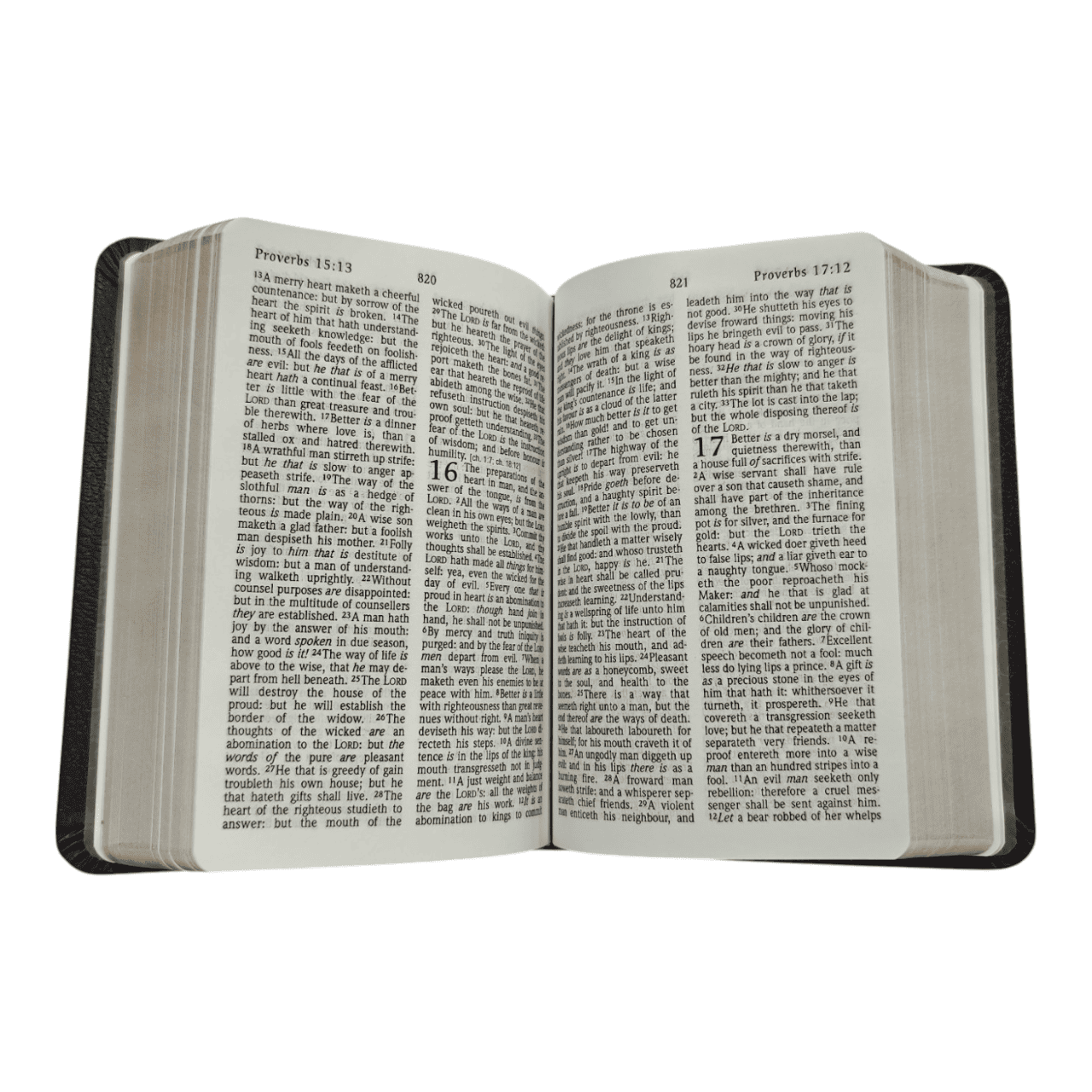 KJV Large Print Compact Reference Bible, Leathersoft, Burgundy - Easy-to-Read King James Version with Center-Column References - 9781598565591