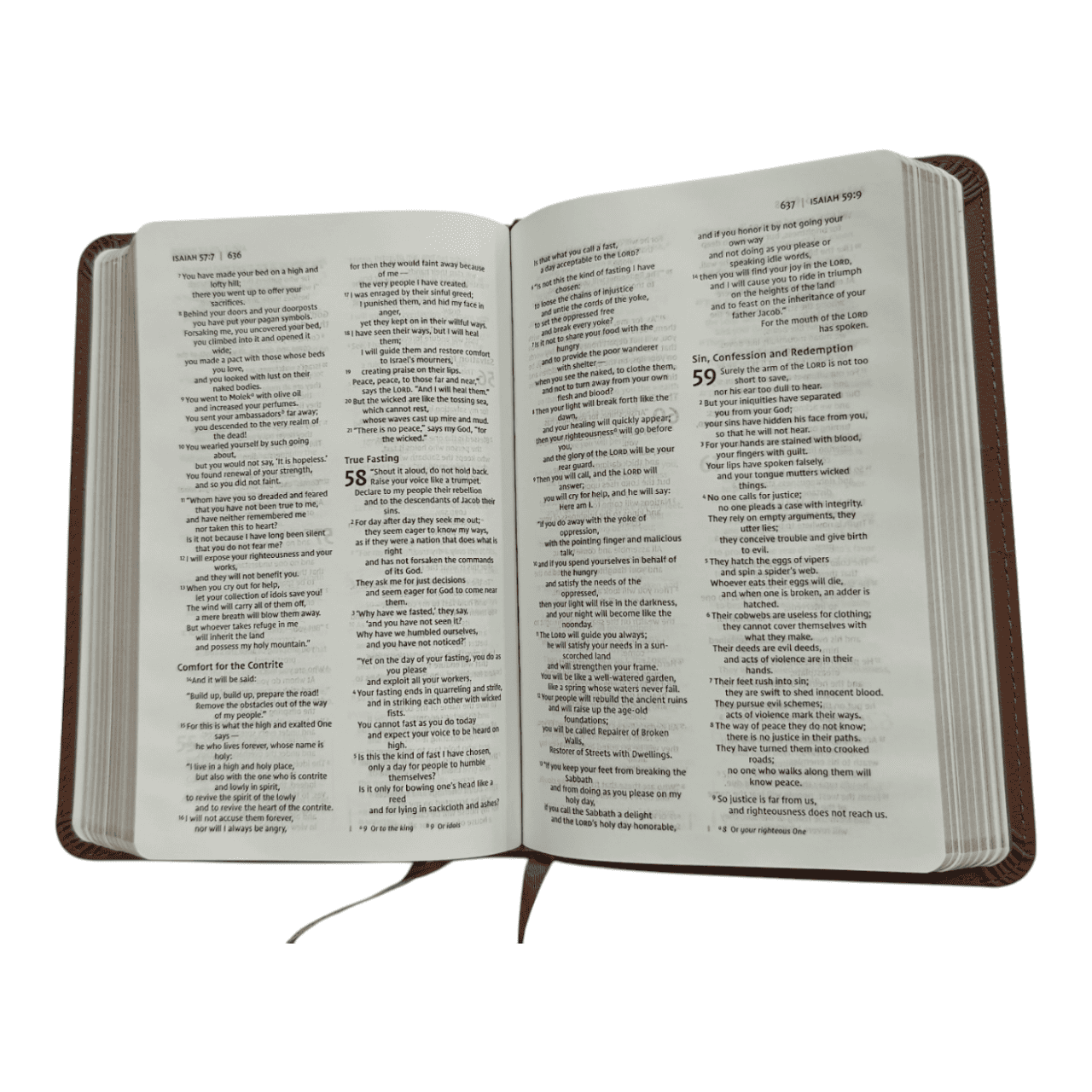 NIV Thinline Bible, Compact, Leathersoft, Pink, Red Letter Edition: Large Print, Easy-to-Carry, Ribbon Marker, Gift Box