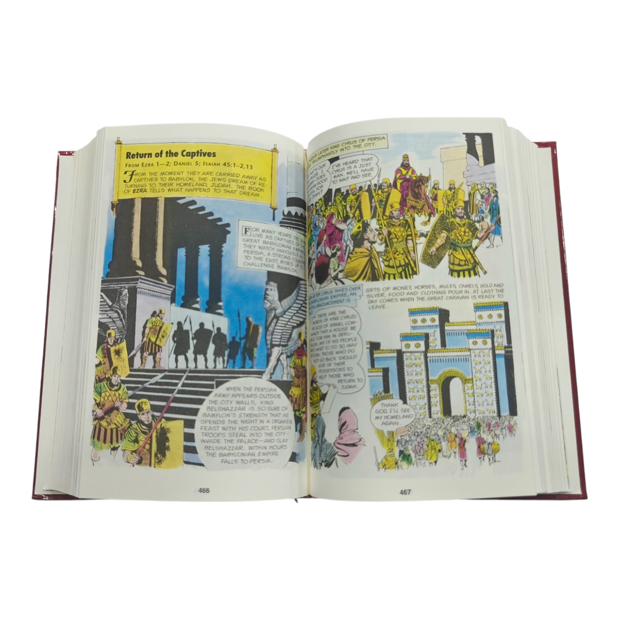 The Picture Bible, Full Color Edition, 233 Timeless Bible Stories in Comic Format (David C. Cook)