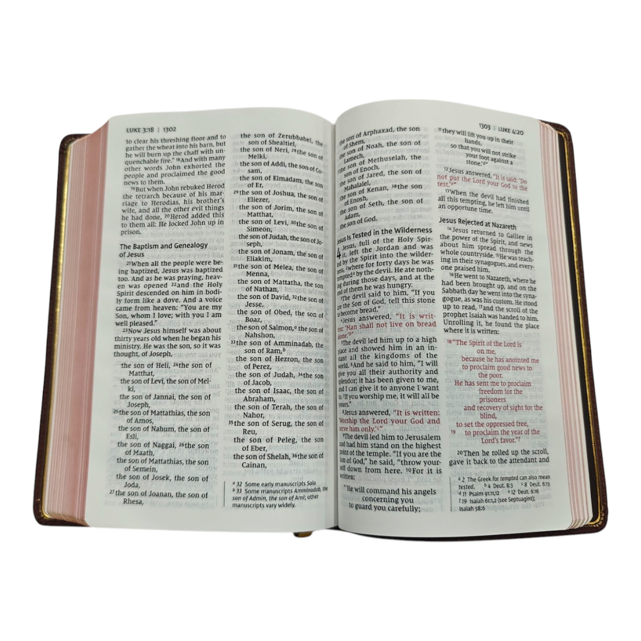 NIV Personal Size Bible, Large Print, Leathersoft, Red Letter, Comfort Print
