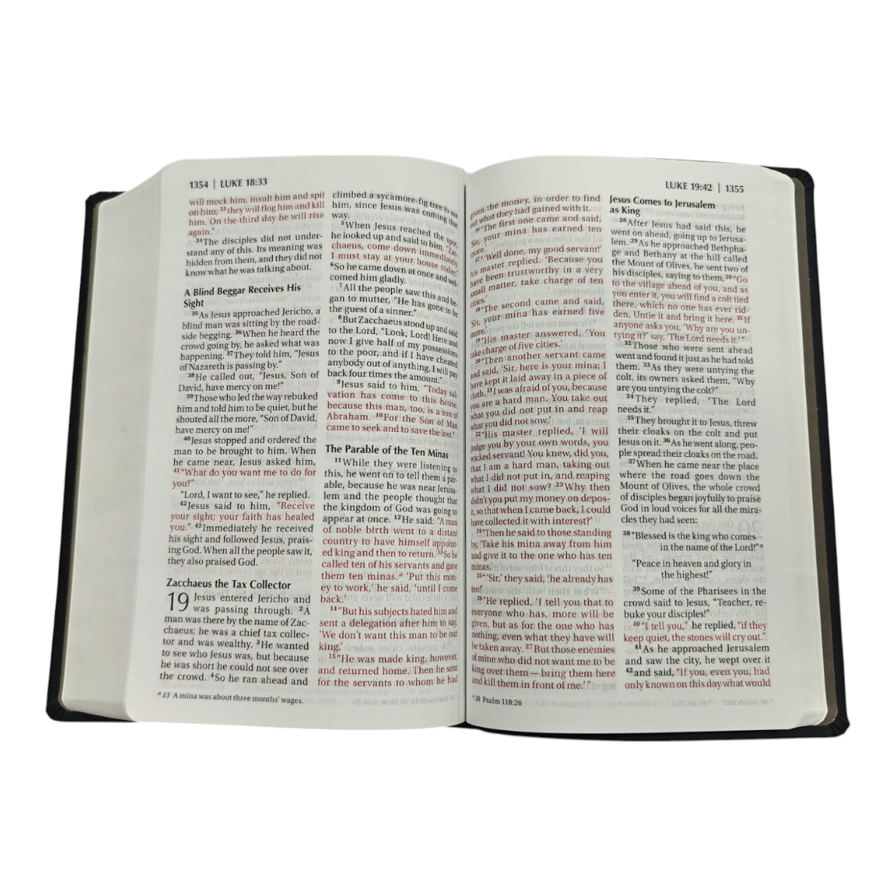 NIV ReadEasy Bible, Large Print, Leathersoft, Red Letter Edition, Complete New International Version with Lay-Flat Cover & 10.5pt Type