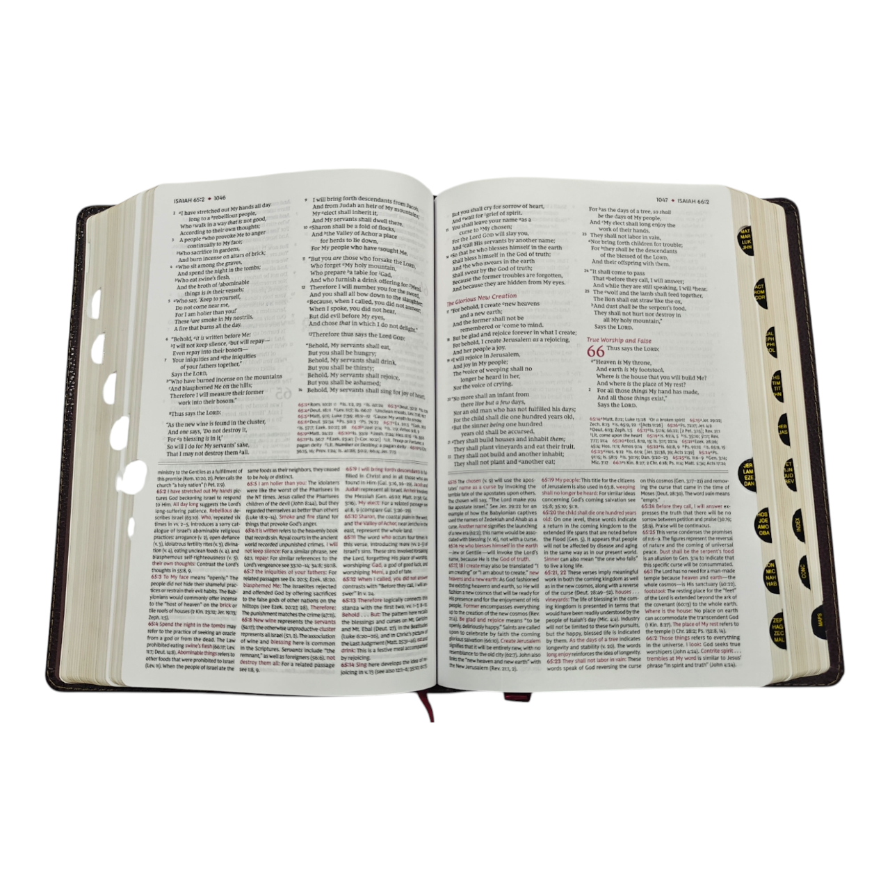 NKJV Study Bible, Leathersoft, Brown, Thumb Indexed, Comfort Print