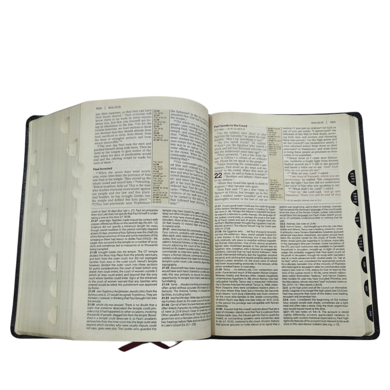NIV Cultural Backgrounds Study Bible New International Version