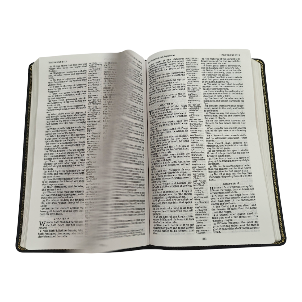 KJV Thinline Deluxe Reference Bible King James Version