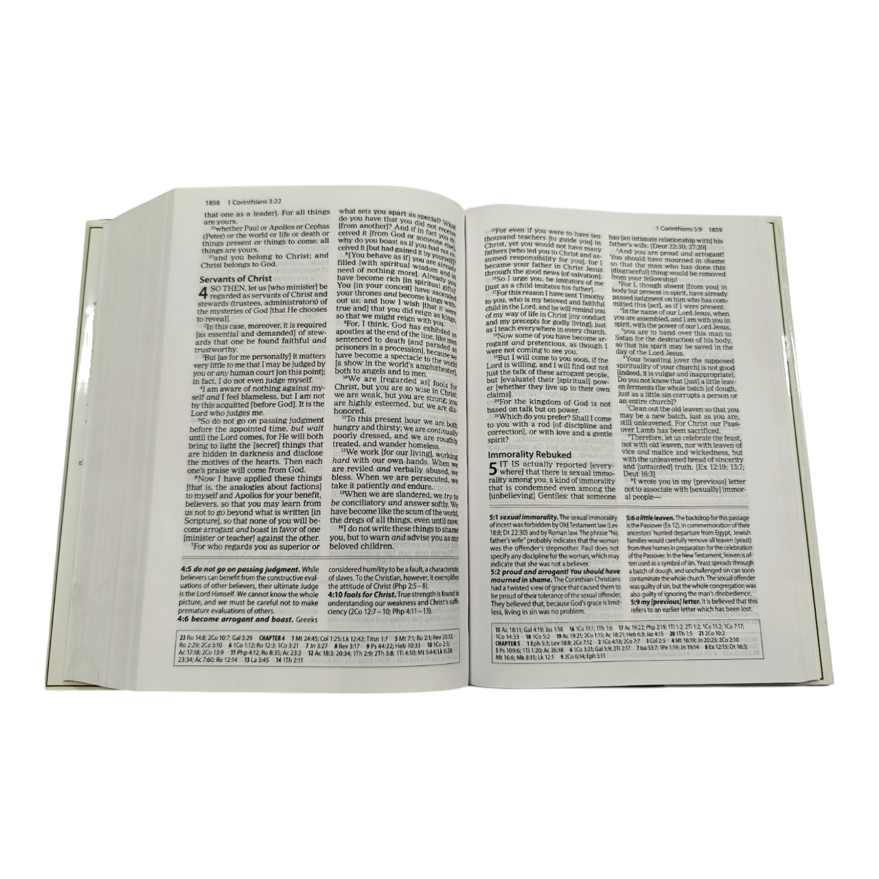 The Amplified Study Bible (AMP), 5,000+ Study Notes & Expanded Word Meanings (Zondervan)