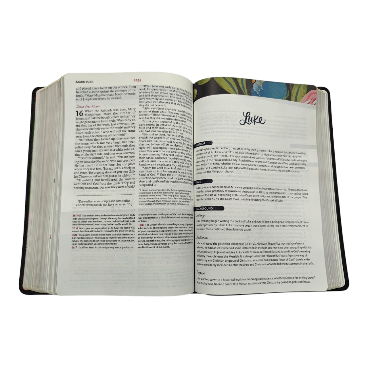 NIV The Woman's Study Bible, Full-Color, Red Letter