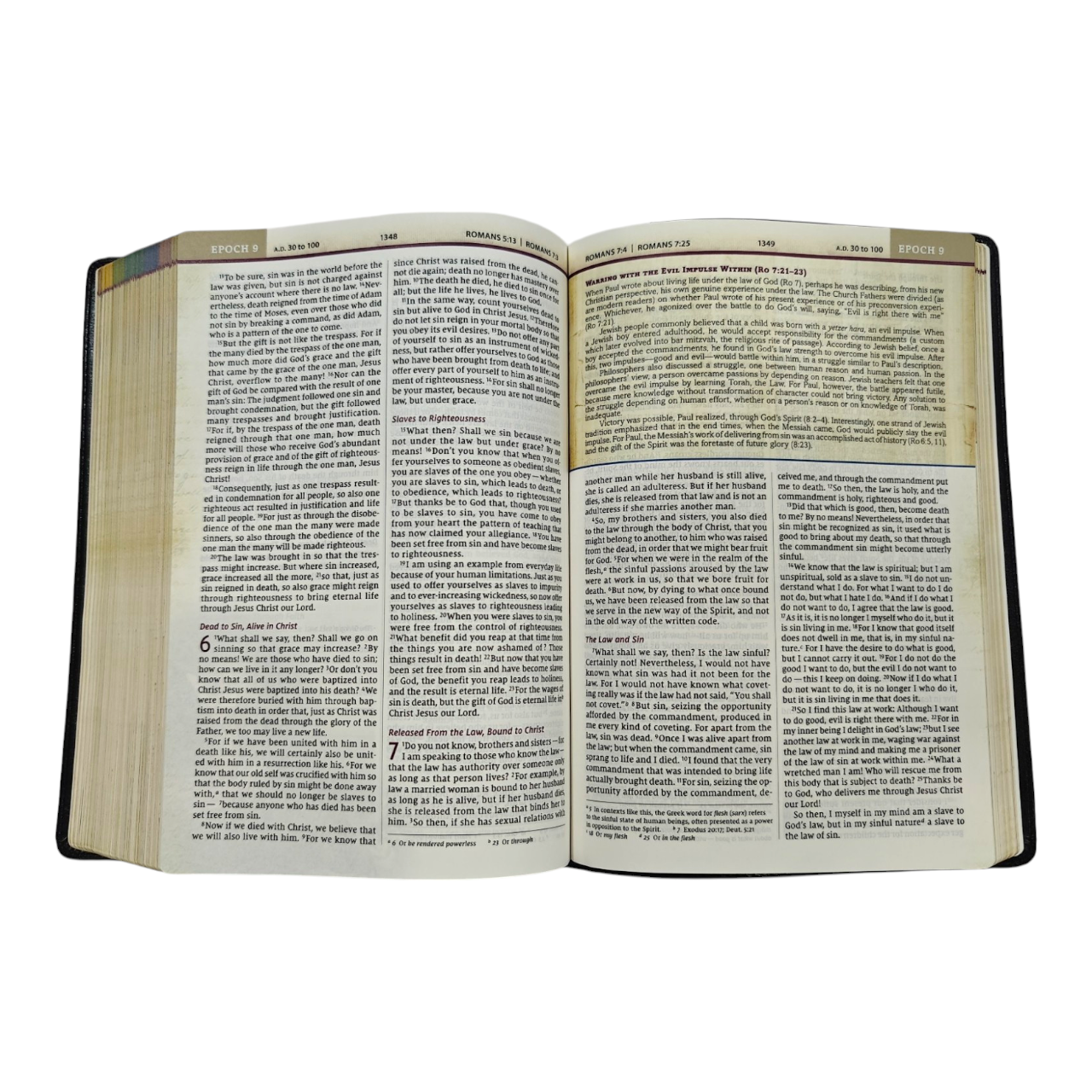 NIV, Chronological Study Bible, Hardcover, Comfort Print