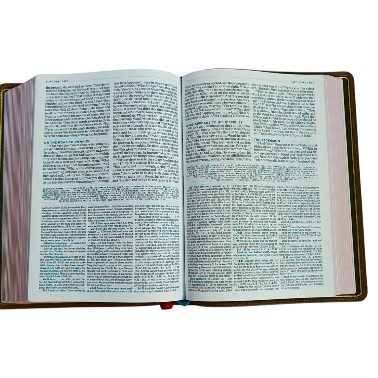 The MacArthur Study Bible, Second Edition (ESV) – Premier Collection, Brown Goatskin Leather