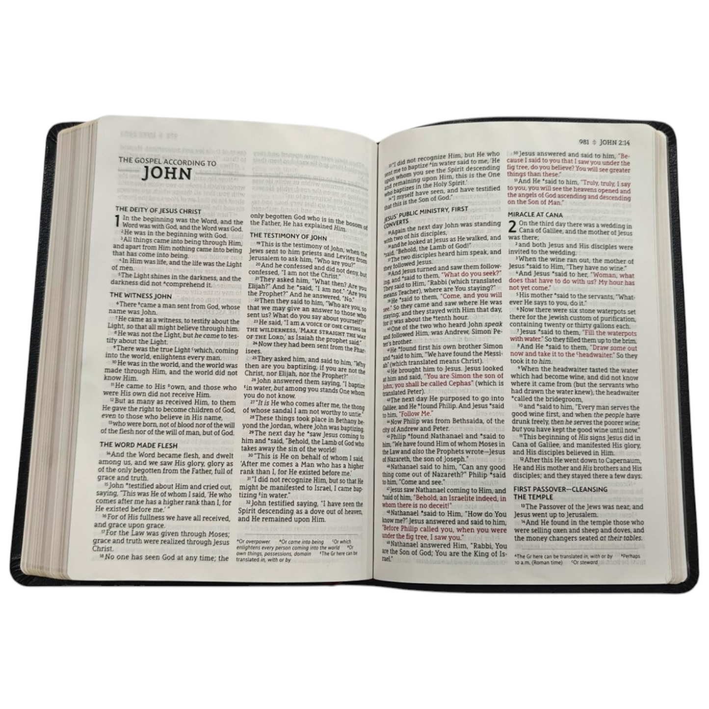 NASB Large-Print Thinline Bible, Red Letter Edition - Bonded Leather, Black (New American Standard Bible)