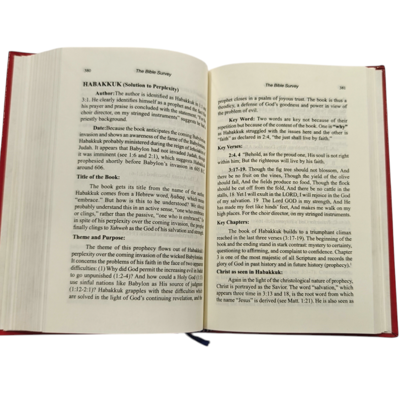 The Bible Survey