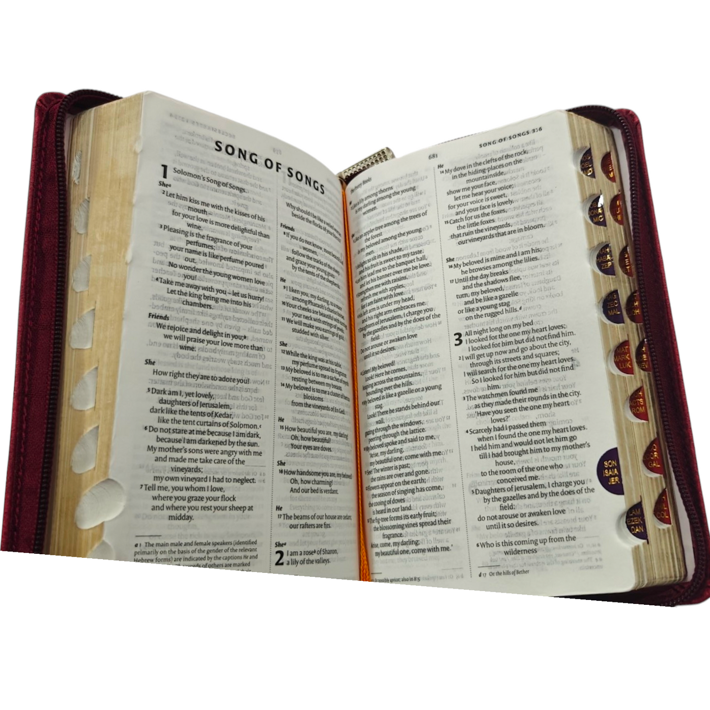 NIV Red Letter Index Bible – Brown Cover