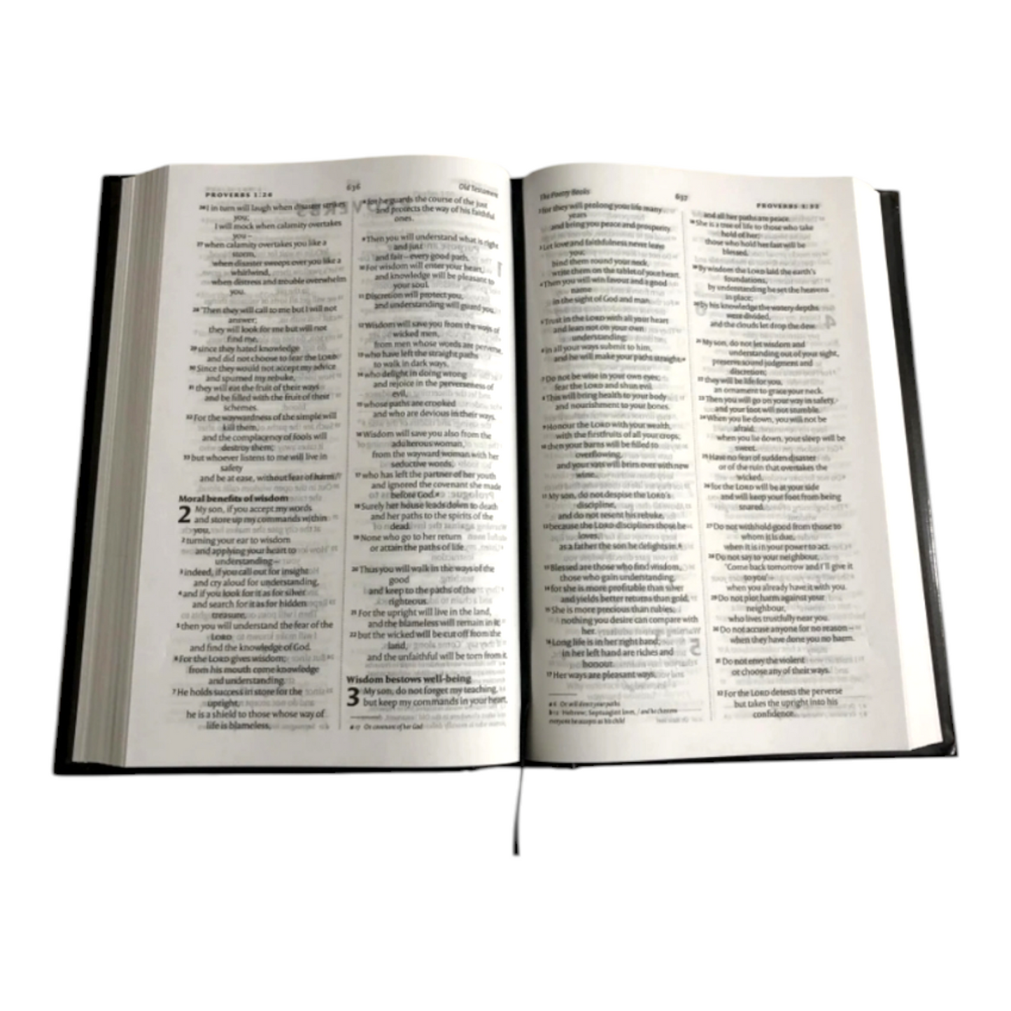 NIV Holy Bible Compact New International Version (Hardcover, BSI)